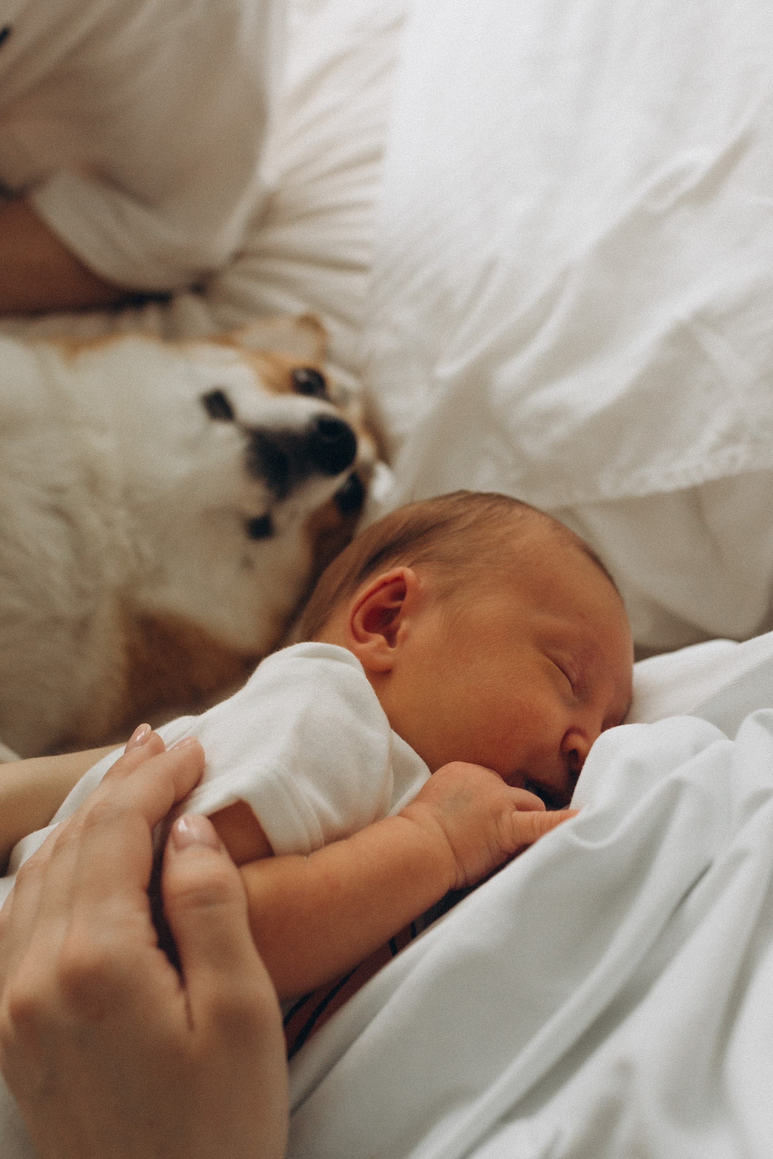 Про Оливию и Лунну. -