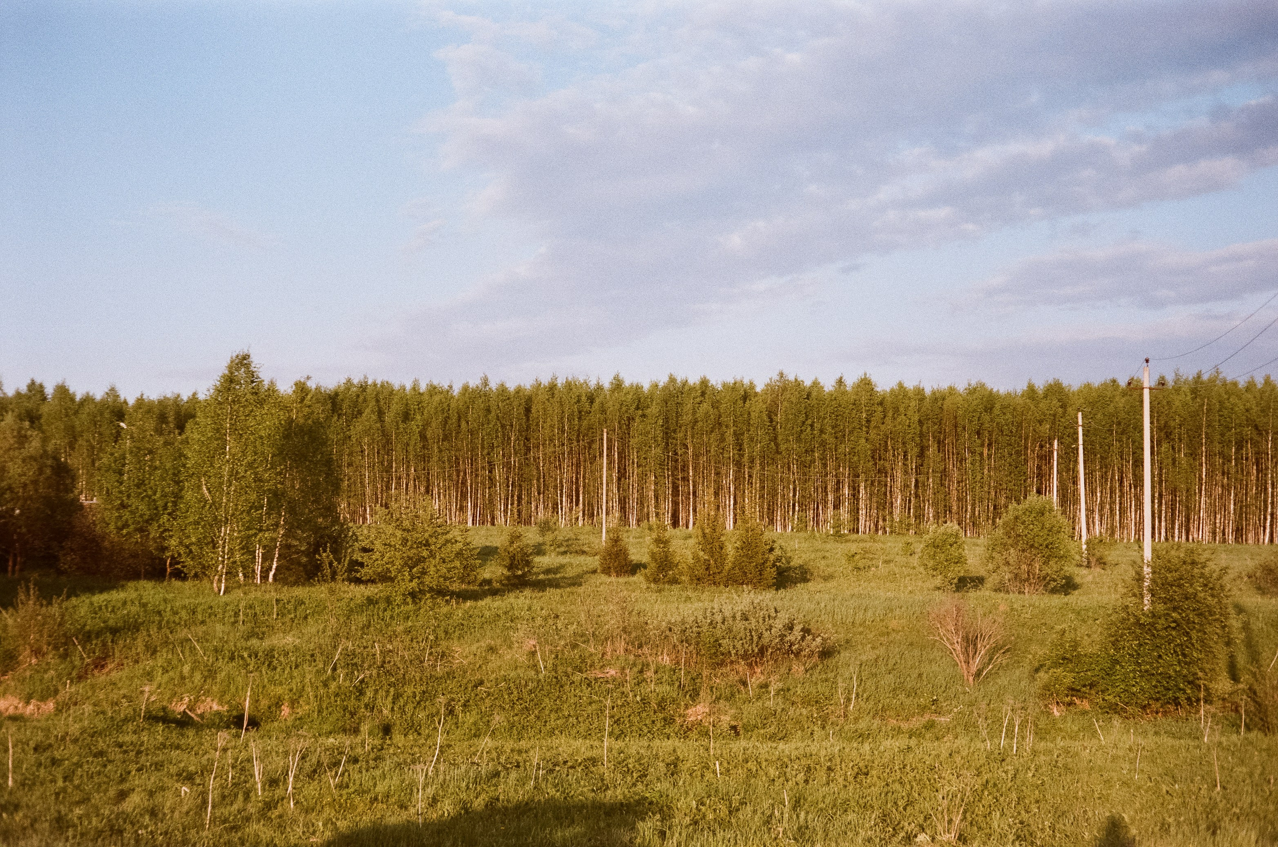 Konica IIIA / Fujicolor Superia 200 (просрочка) / Благовещенский переу