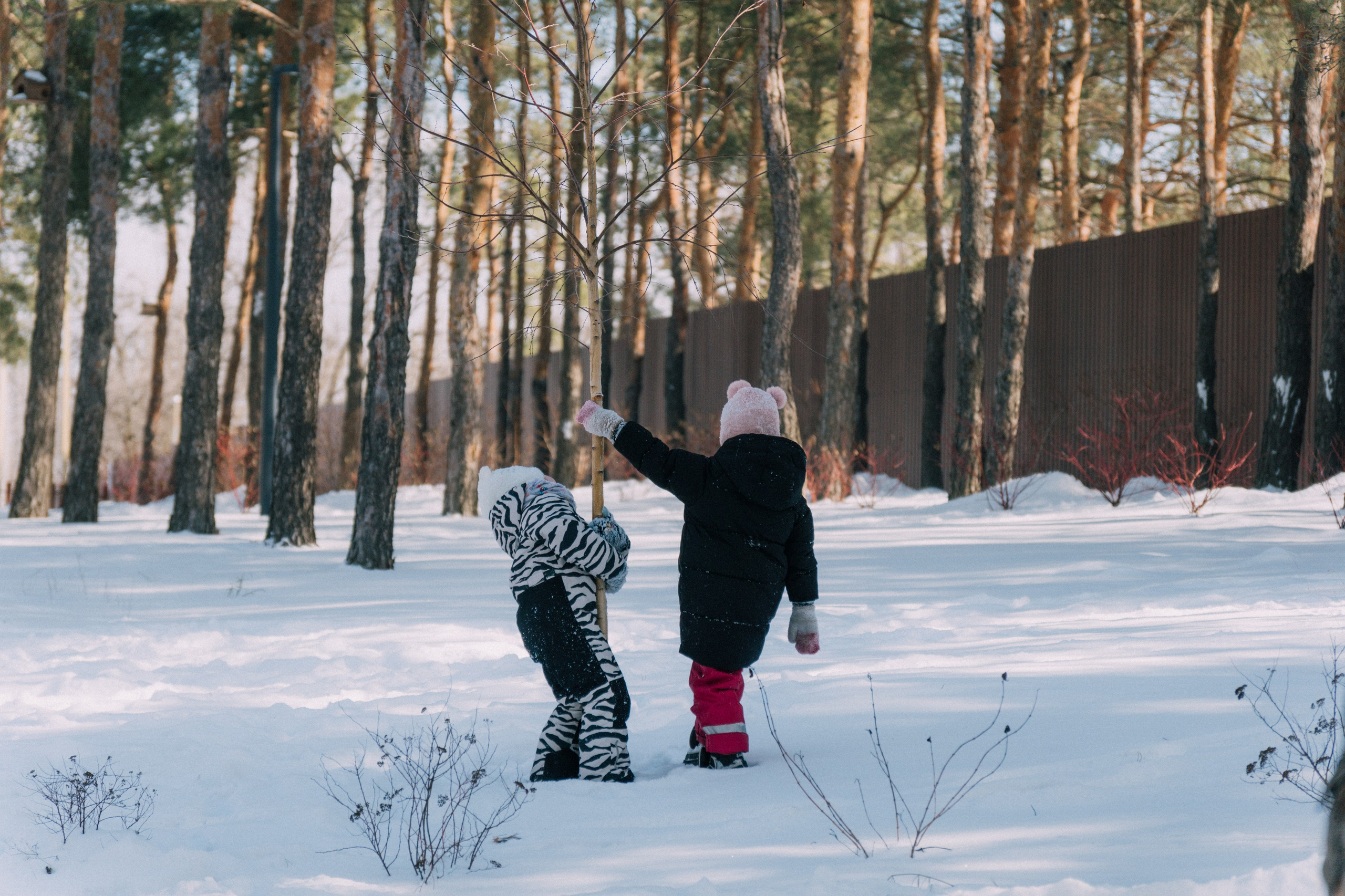 Масленица «Наша Хвоя». Андрей Попов | Фотограф Волгоград| Druny_photo