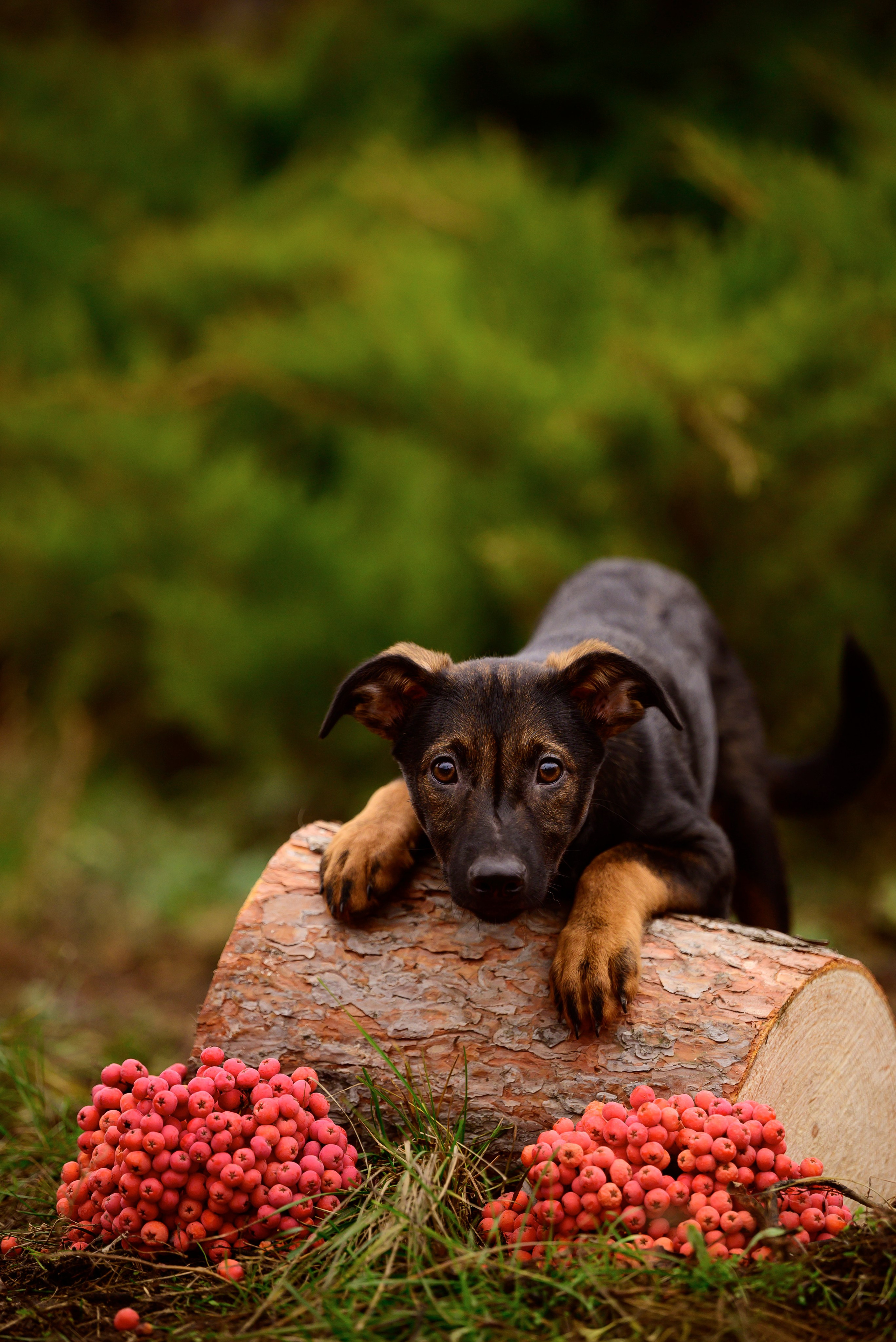 Круассанчики. Мила Астахова