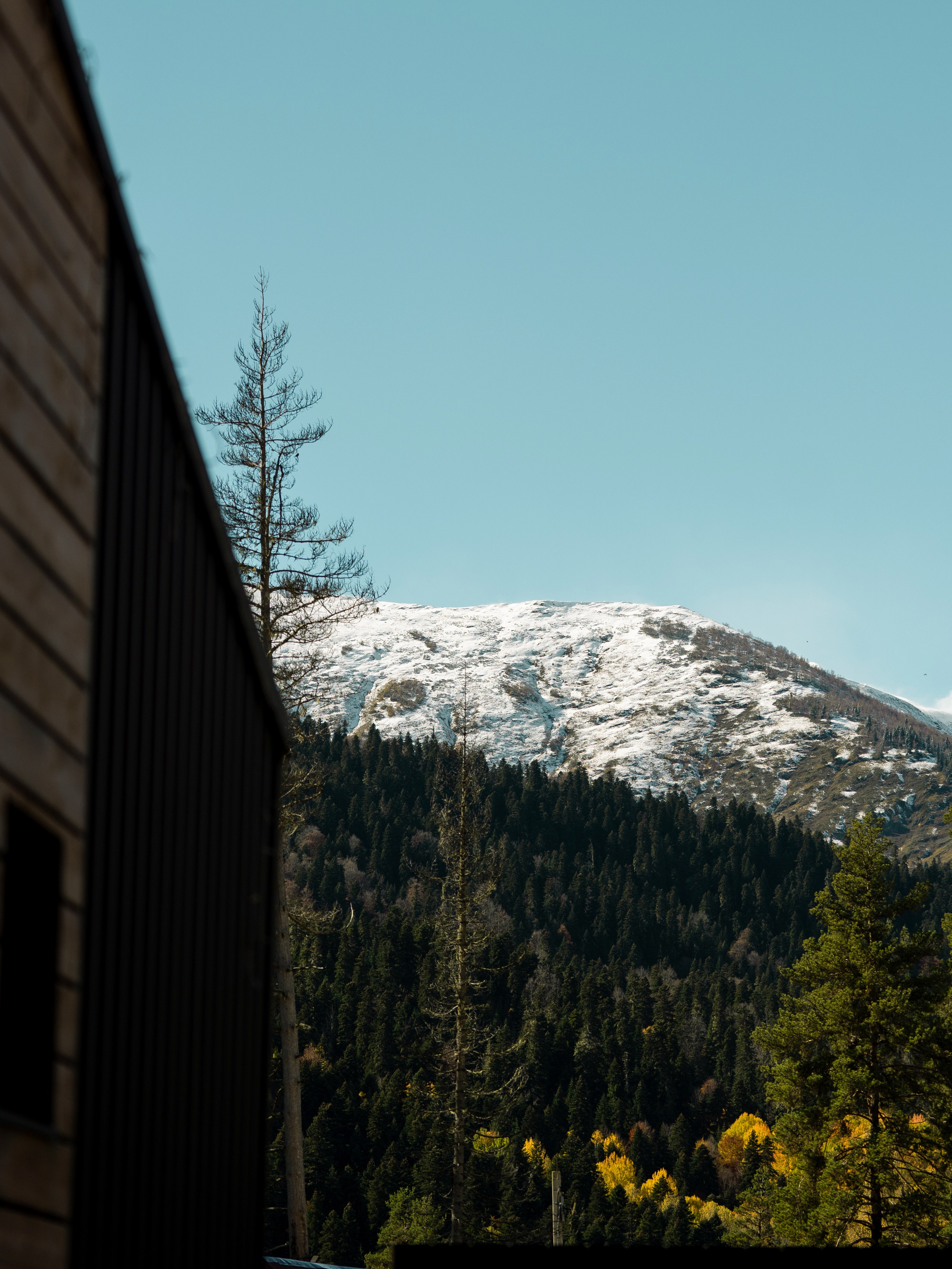 SkyWood. Фотограф и видеограф Елена Хмелевская