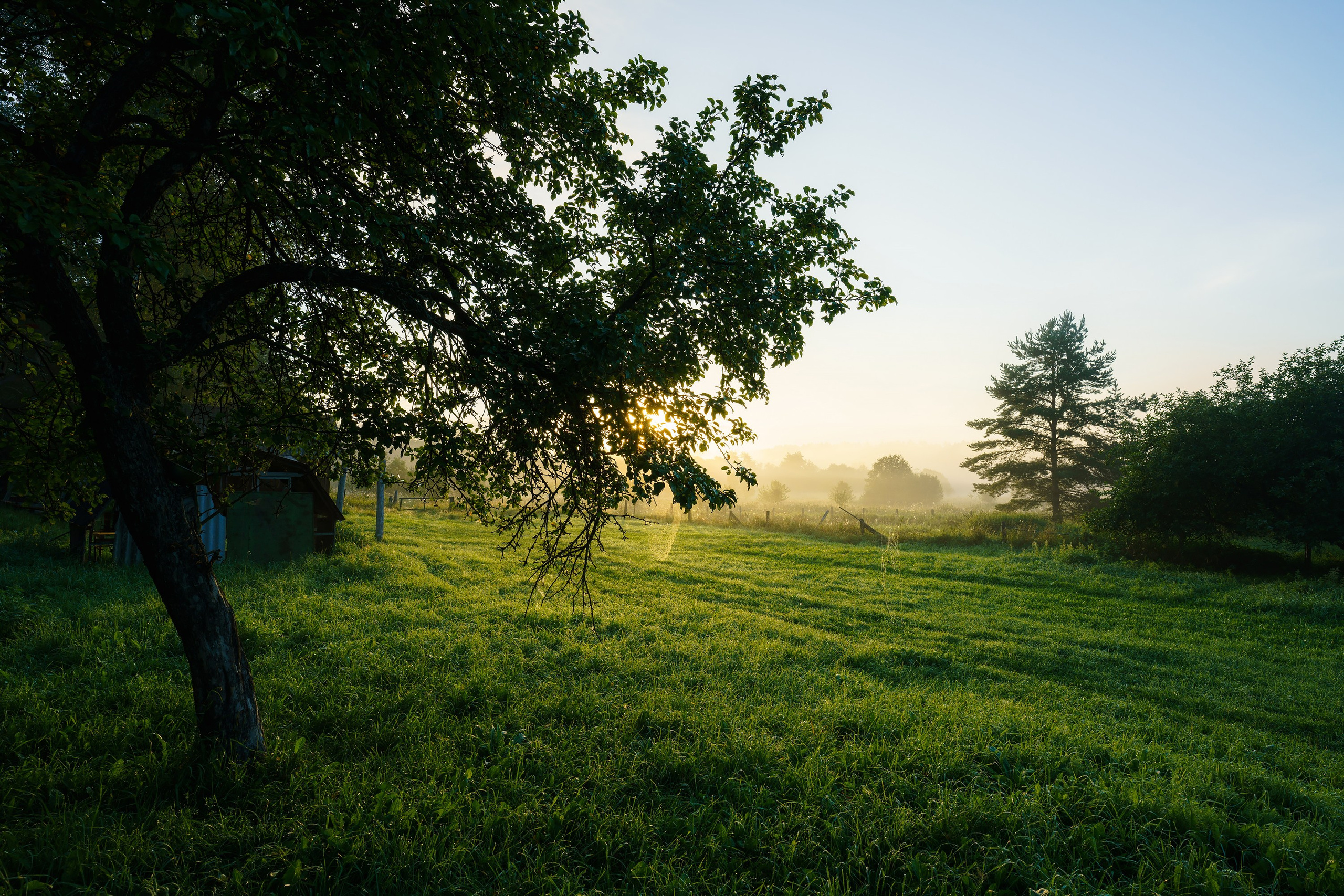 Фотографии Национальный парк Угра. Фотограф спортивные события, недвижимость, турбизнес
