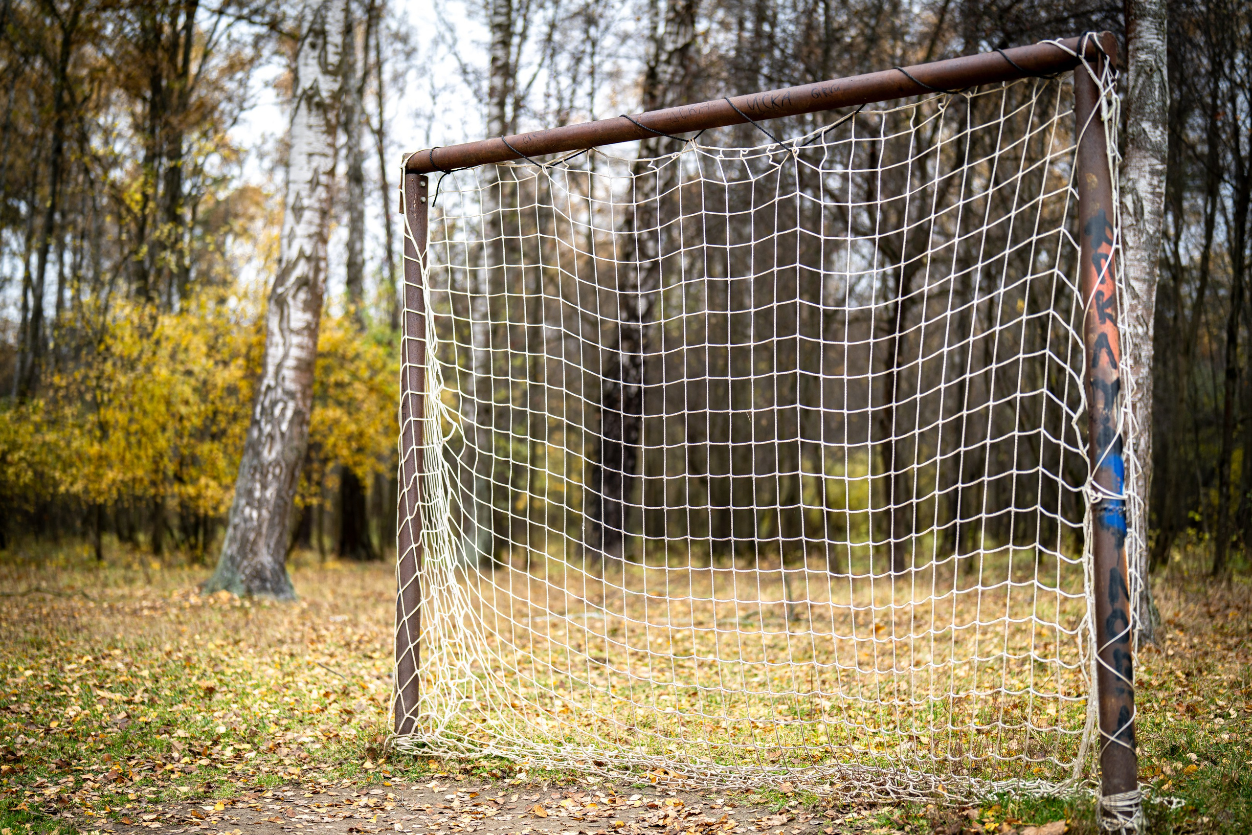 ПЕРЕДЕЛКИНО. ПОБУДЬ ЗДЕСЬ И ЦЕЛЕЕ БУДЕТ ЭТОТ МИР