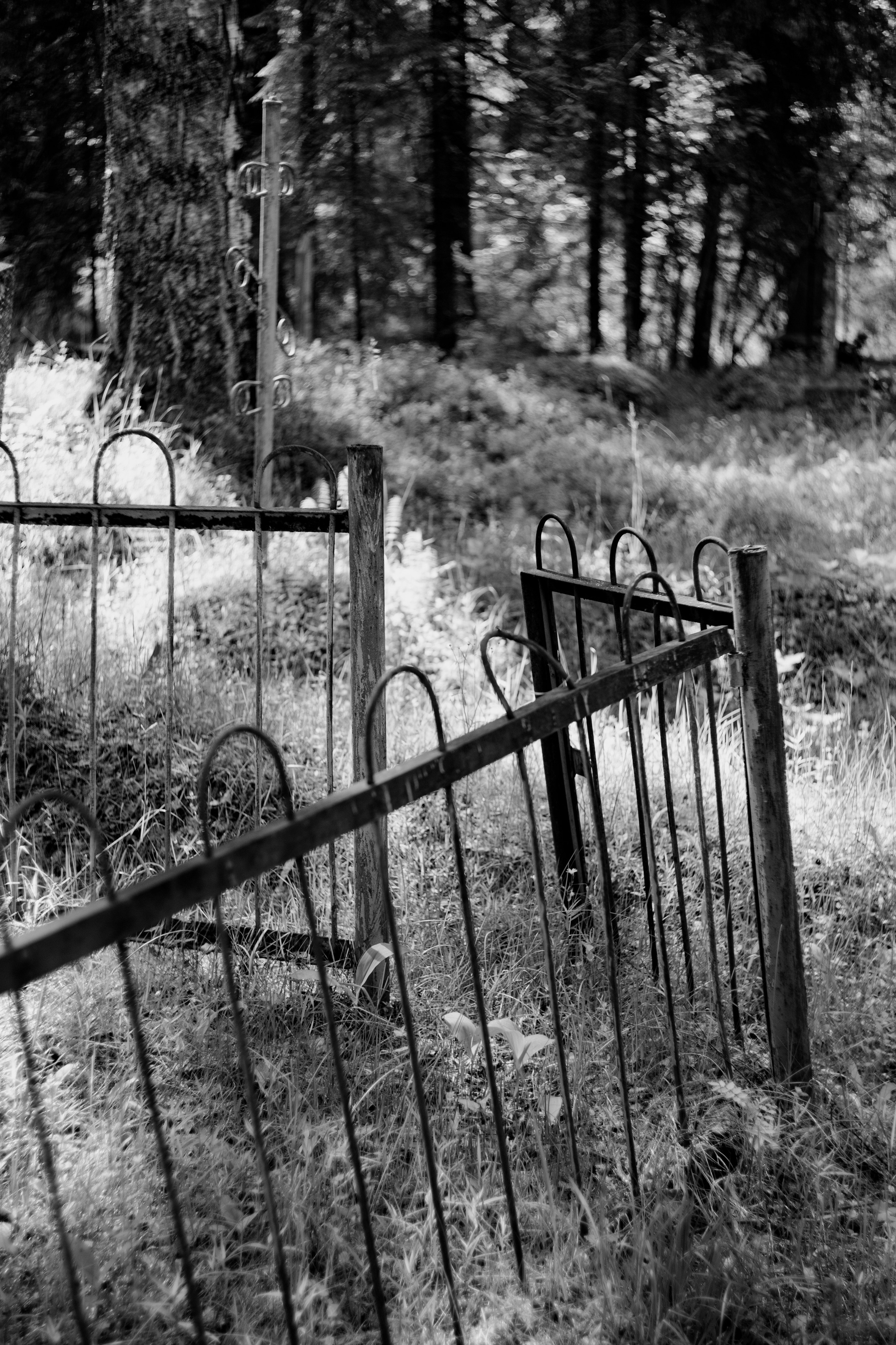 Память. Фотограф Александр Тихонов