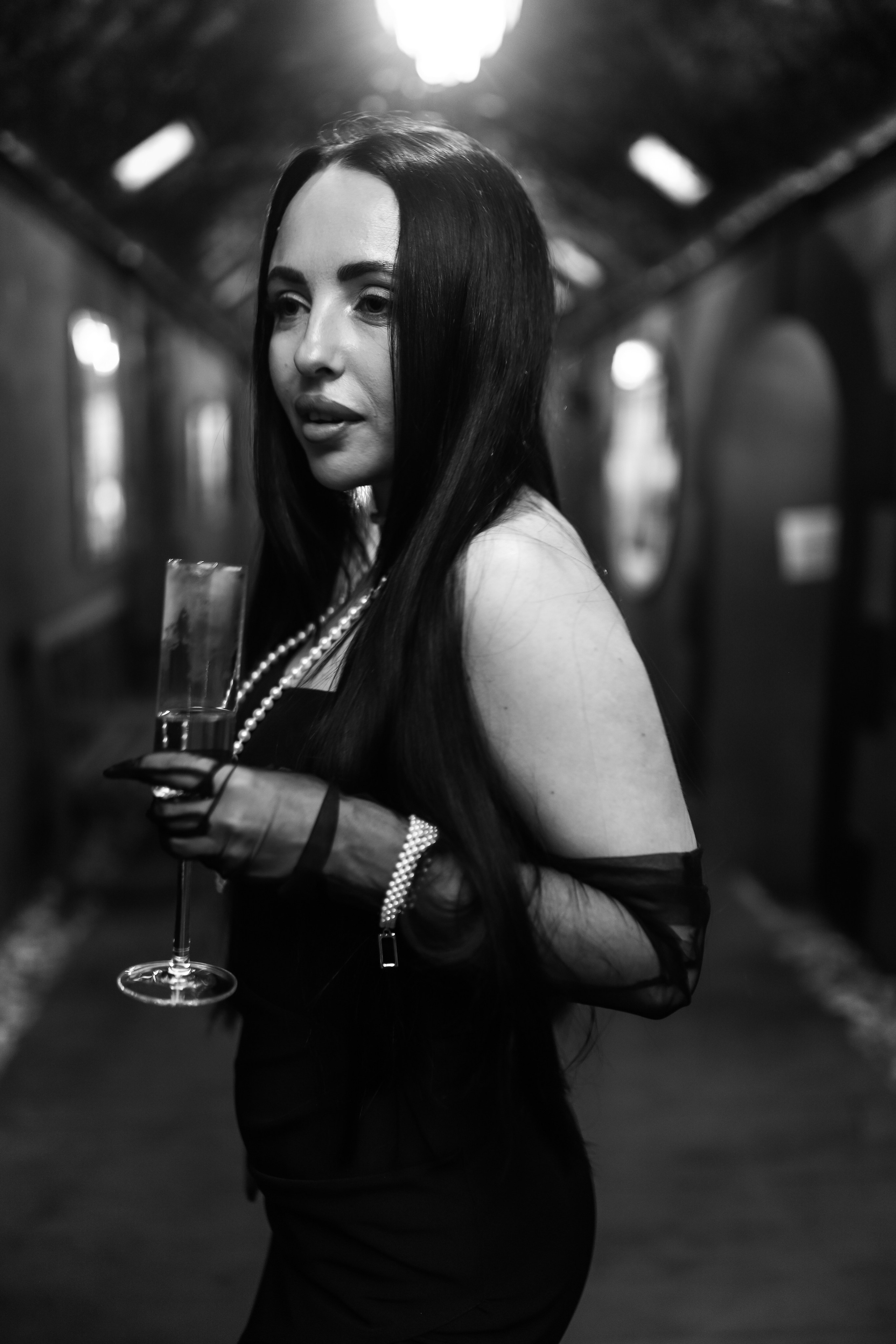 25.Диана и гости