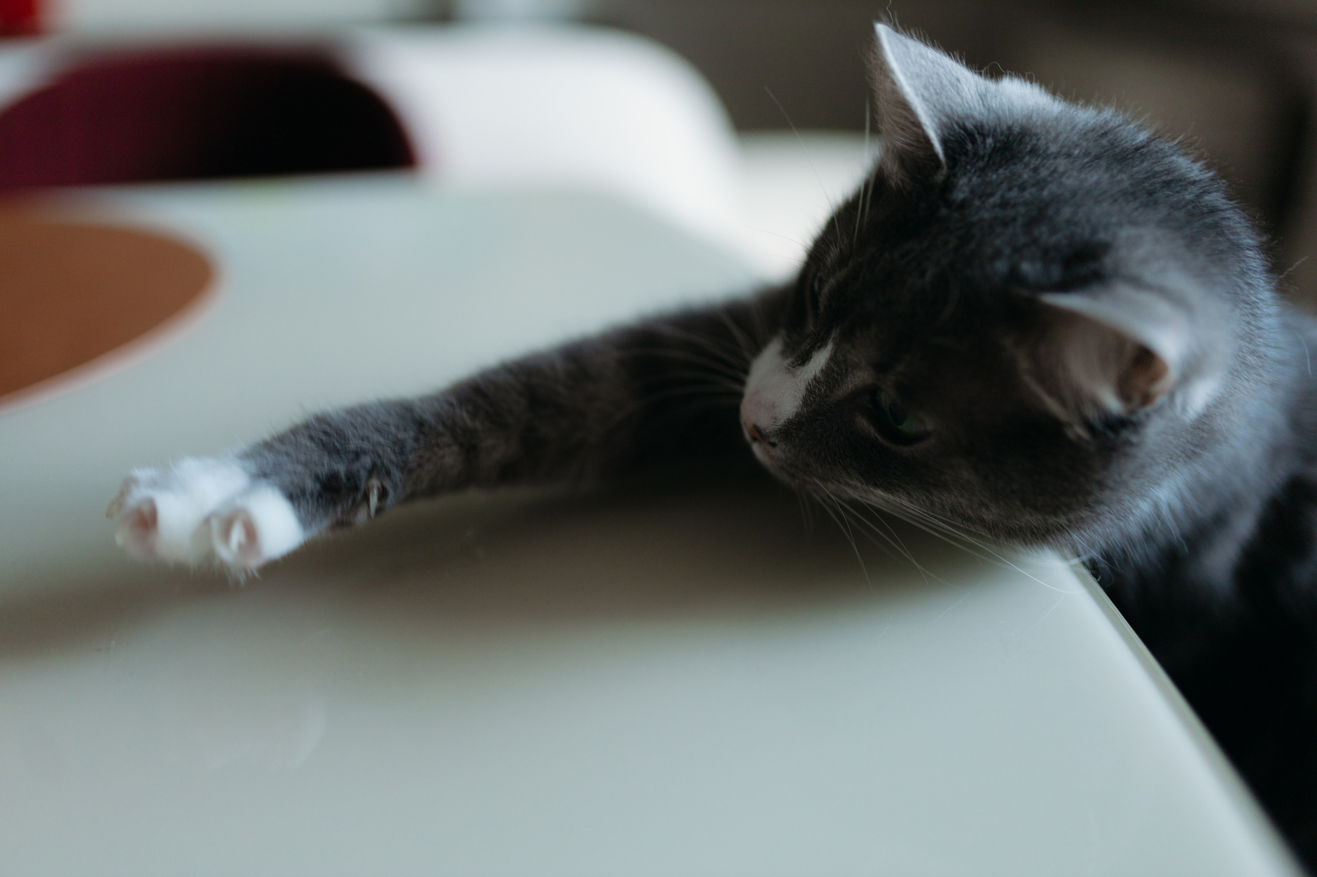 3+1. Женский и свадебный фотограф Москва Елизавета Перова