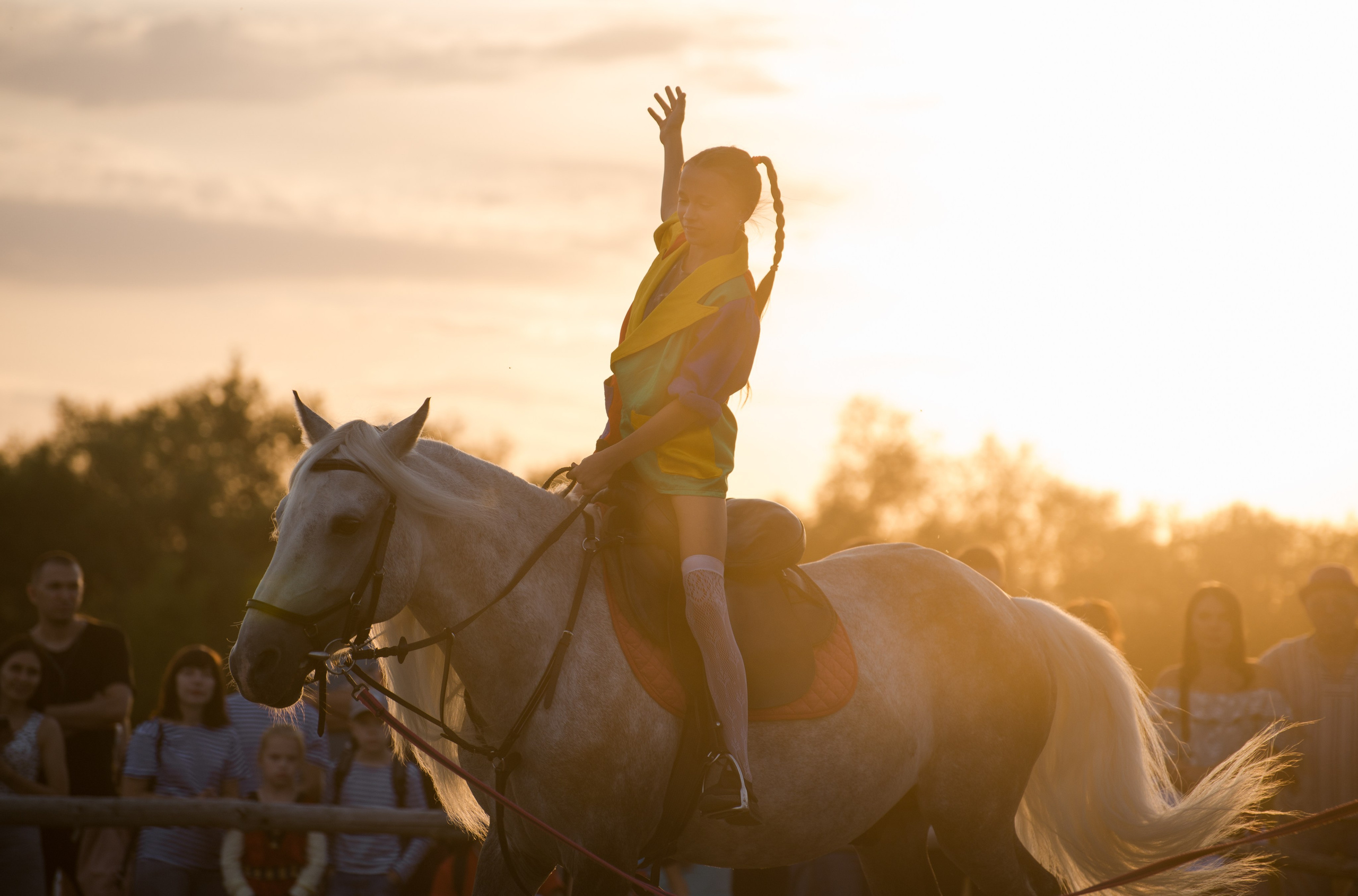 Карнавал Догвинтер. Конный фотограф в Саратове Юлия Иванова