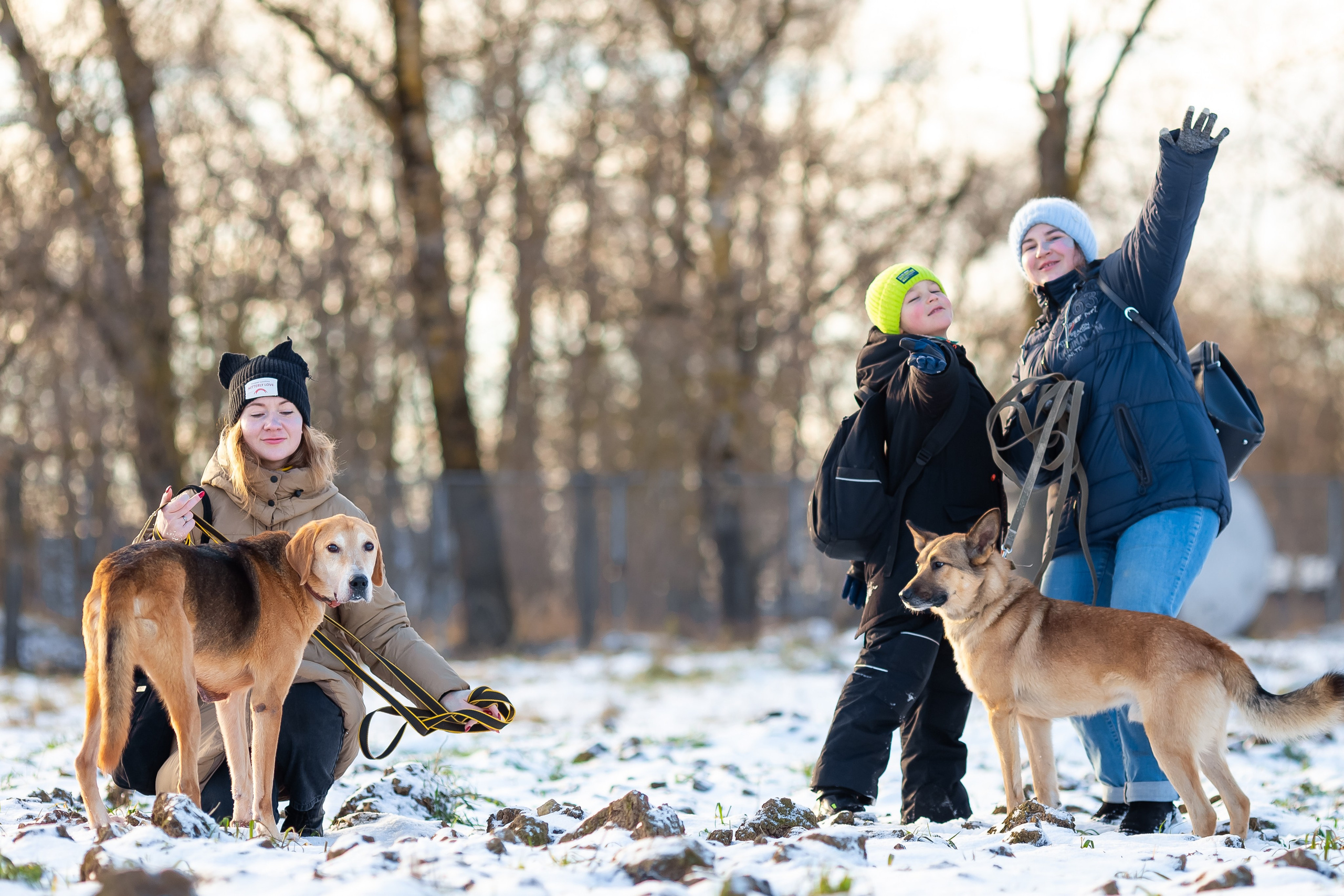Petshop Забота. Фотограф в Санкт-Петербурге Чумаков Семен