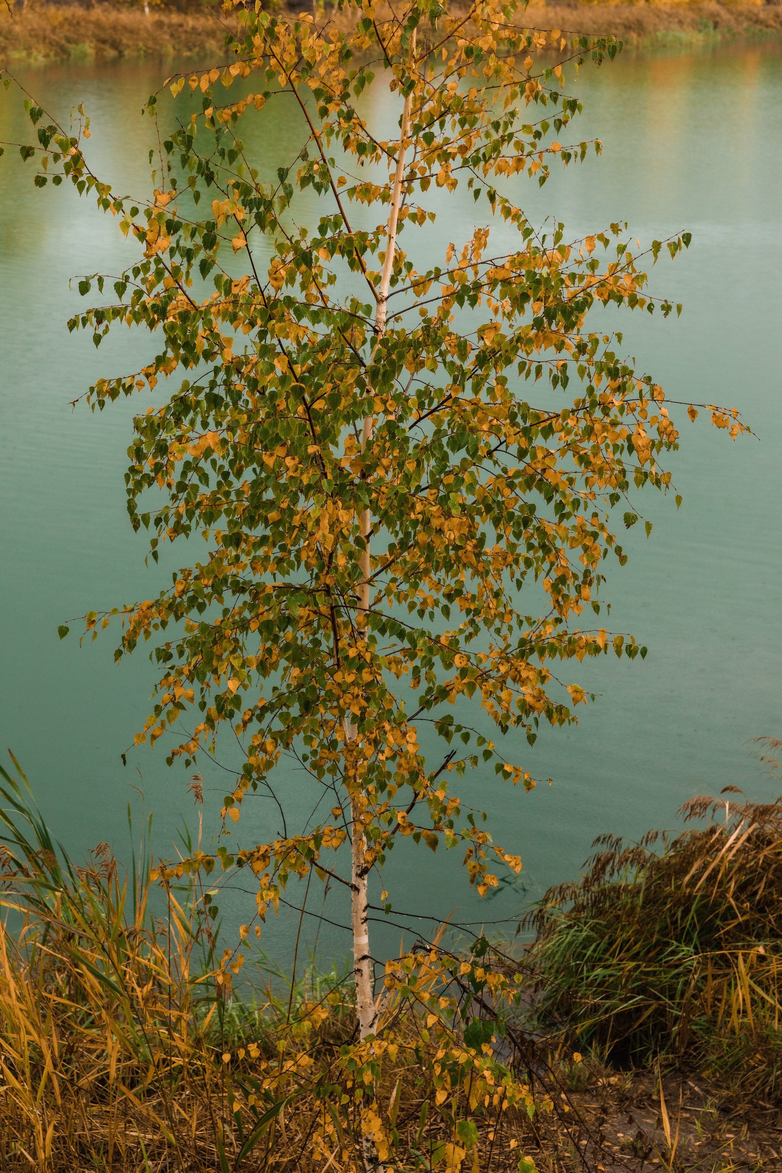 Кондуки. Октябрь 2023. Фотографии