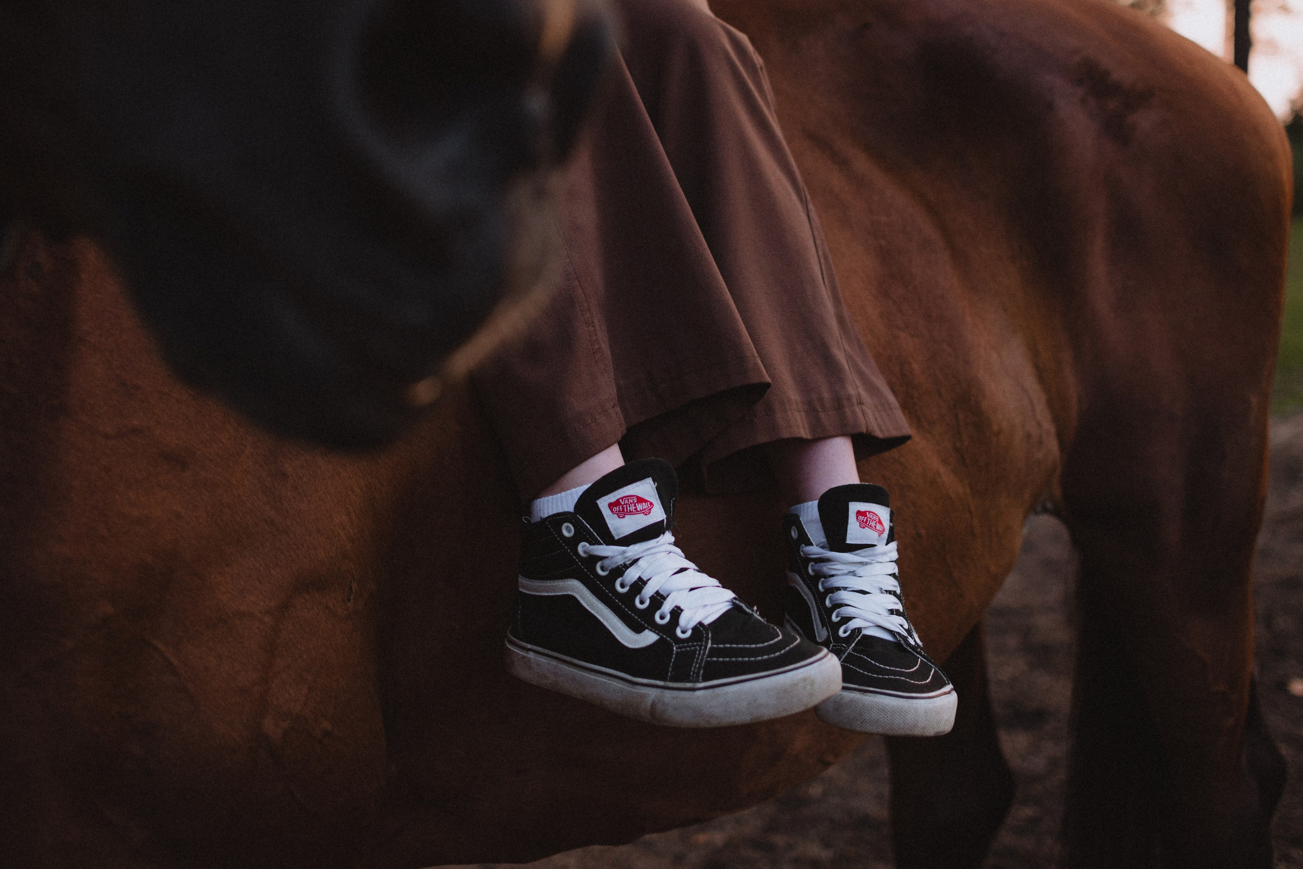 Таня и Гохрида. MariaGohri — Конный фотограф, анималист, Рязань