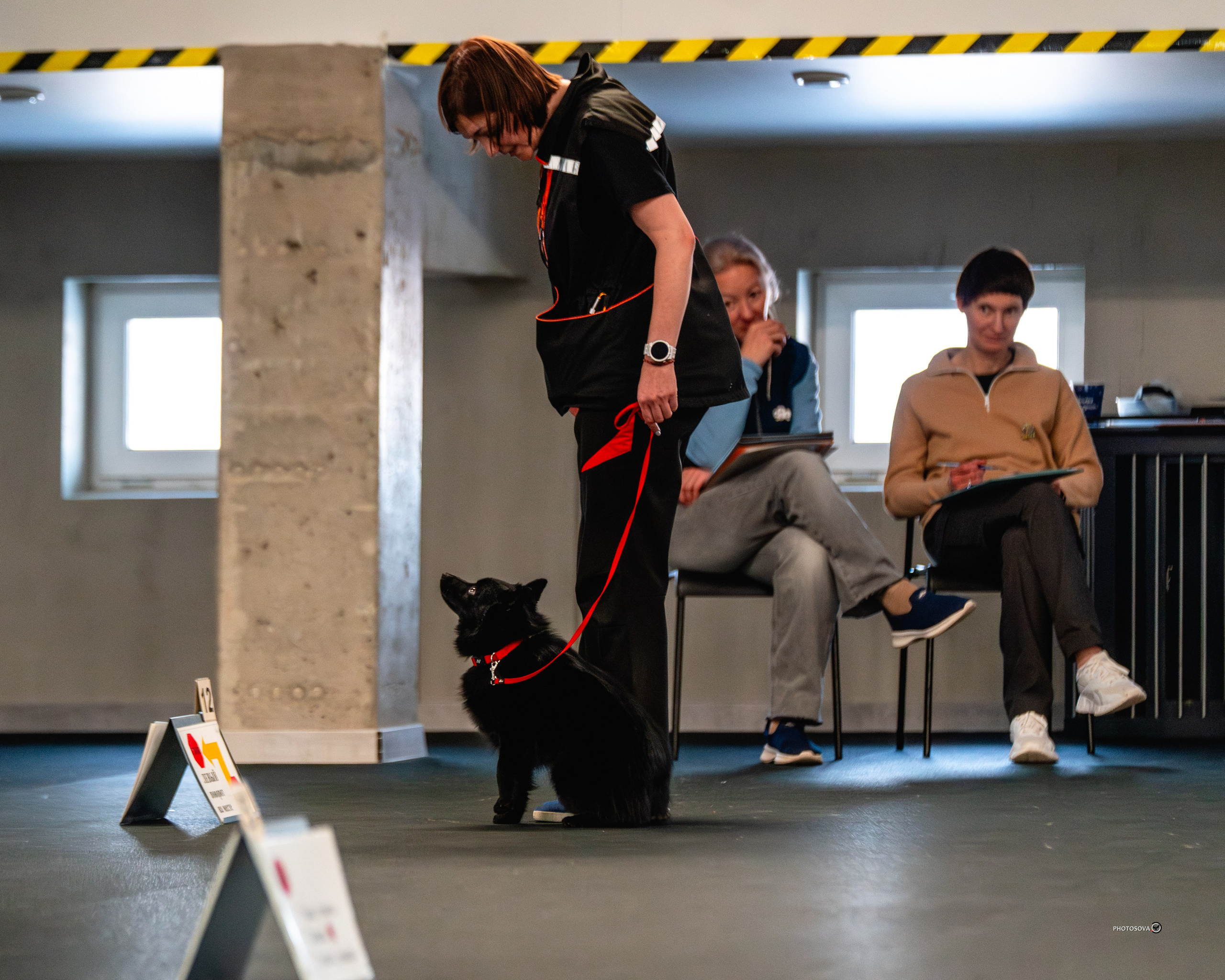 ТЫ И Я (соревнования по ралли-обидиенс). Фотограф-анималист, семейный фотограф в Москве и Подмосковье. Фотосъёмка кинологических дисциплин