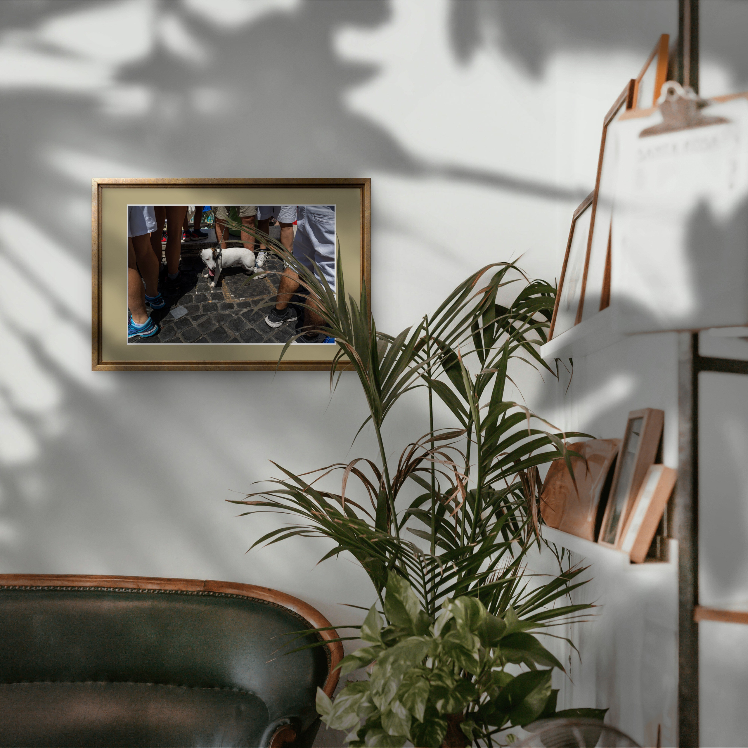 Interiors. Dimitri Bakhtadze photographer