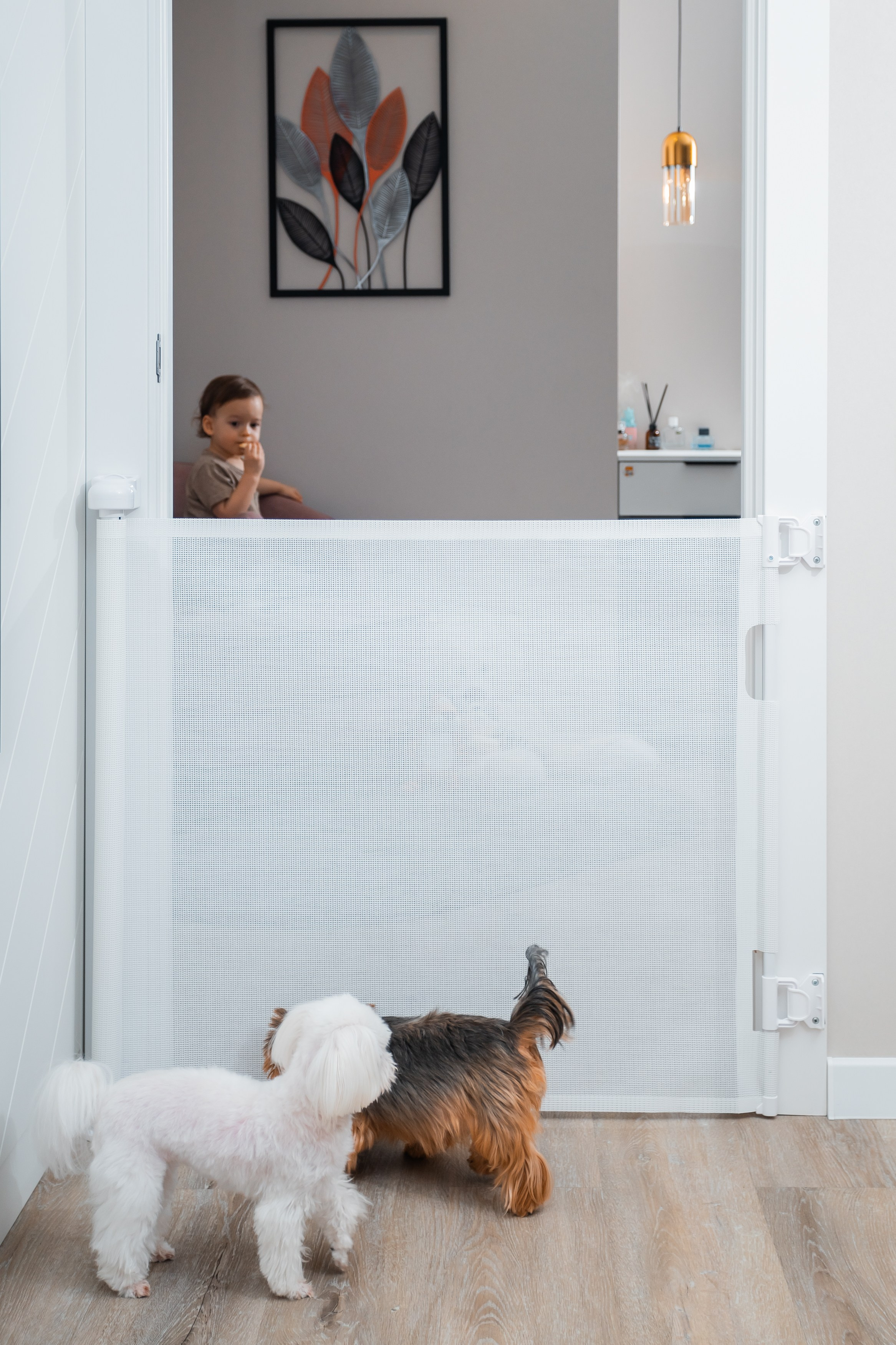 Съёмка товаров для маркетплейс в Тюмени. Фотограф Илья Силин