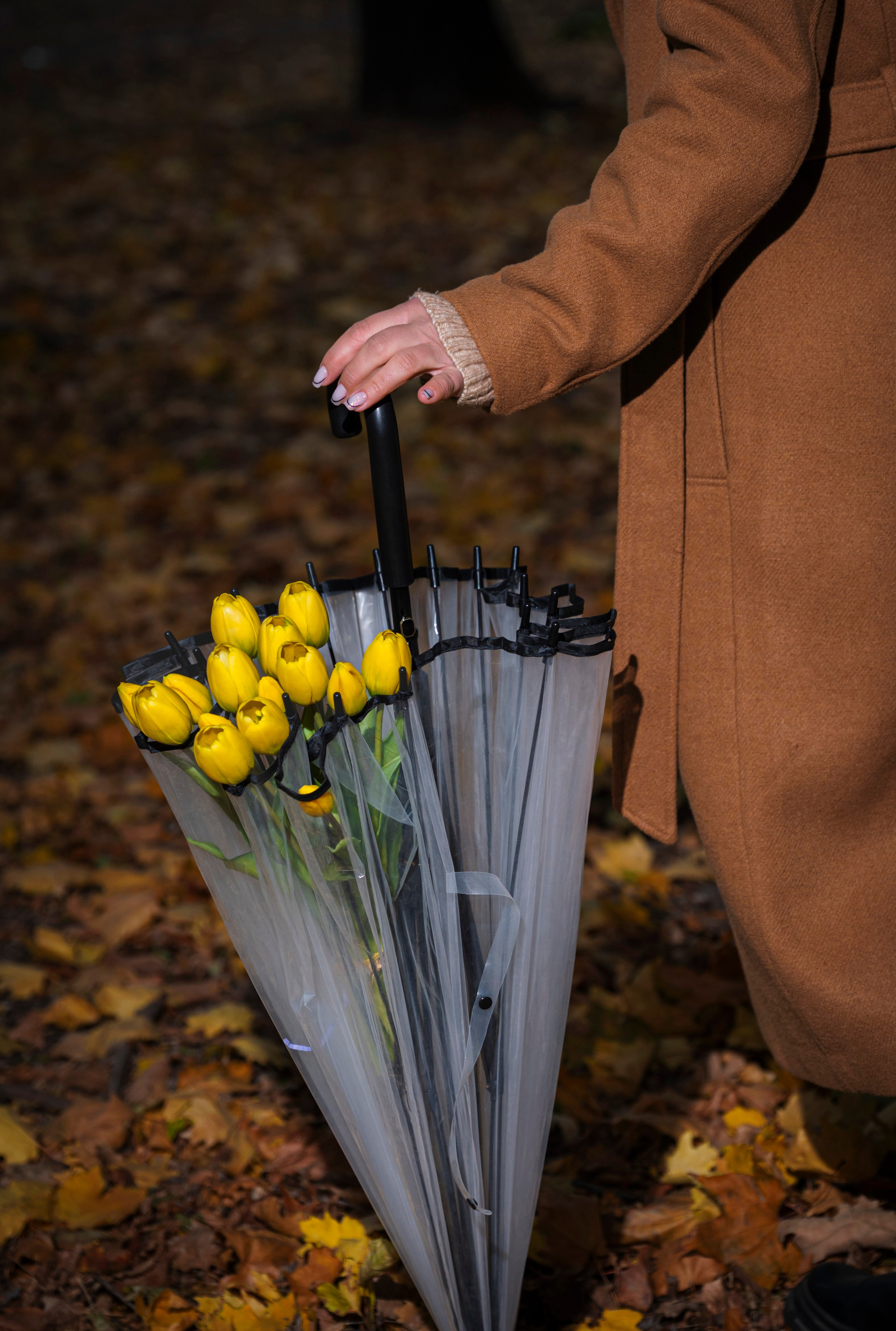 Осеняя сьемка для Татьяны. Мариуполь фото. Фотограф Мариуполь.Индивидуальные съёмки. Детские, семейные, коммерческие