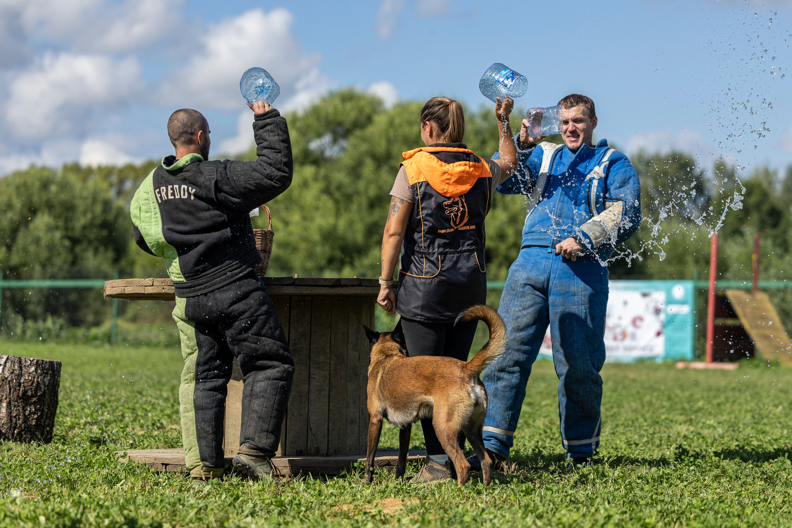 Соревнования по Мондьорингу г. Вологда 10-11.08.2024. Фотограф-анималист Анна Маринич