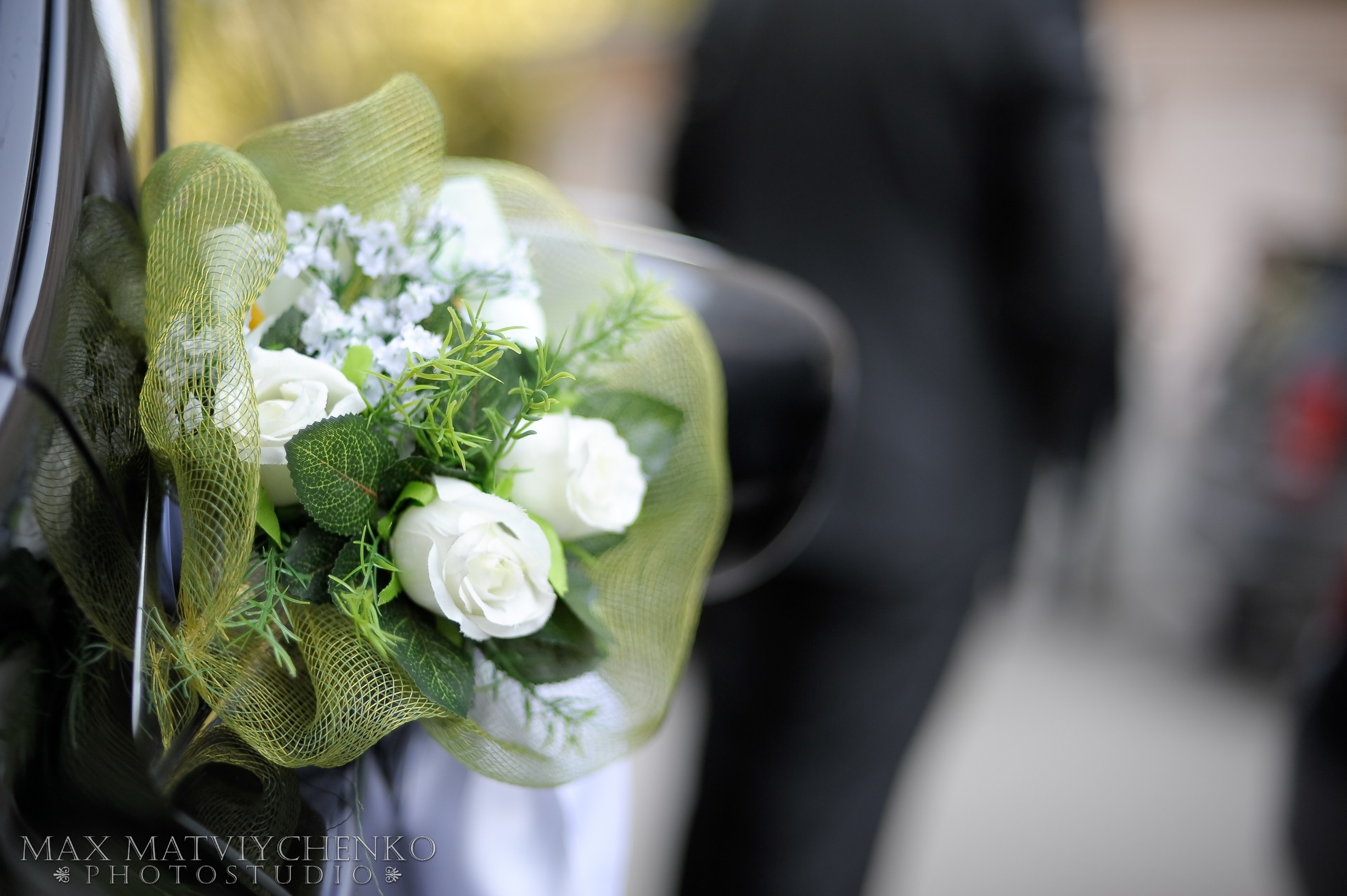 Регистрация/Register. Максим Матвийченко и Виктория Басова профессионалы своего дела