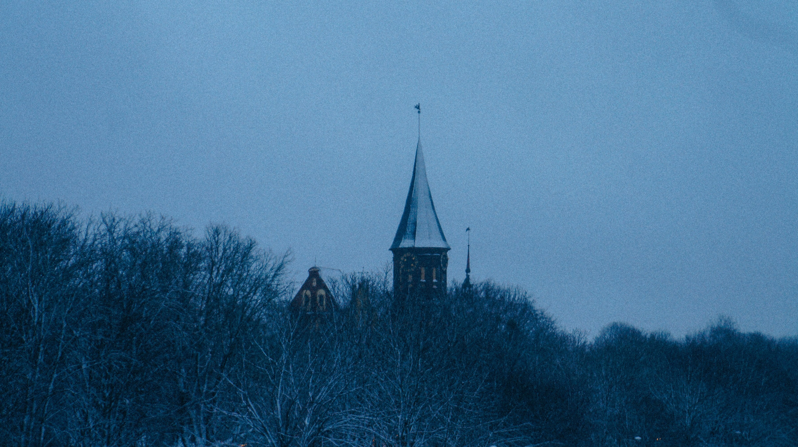 Цоля в Калининграде. Элька Мурзина