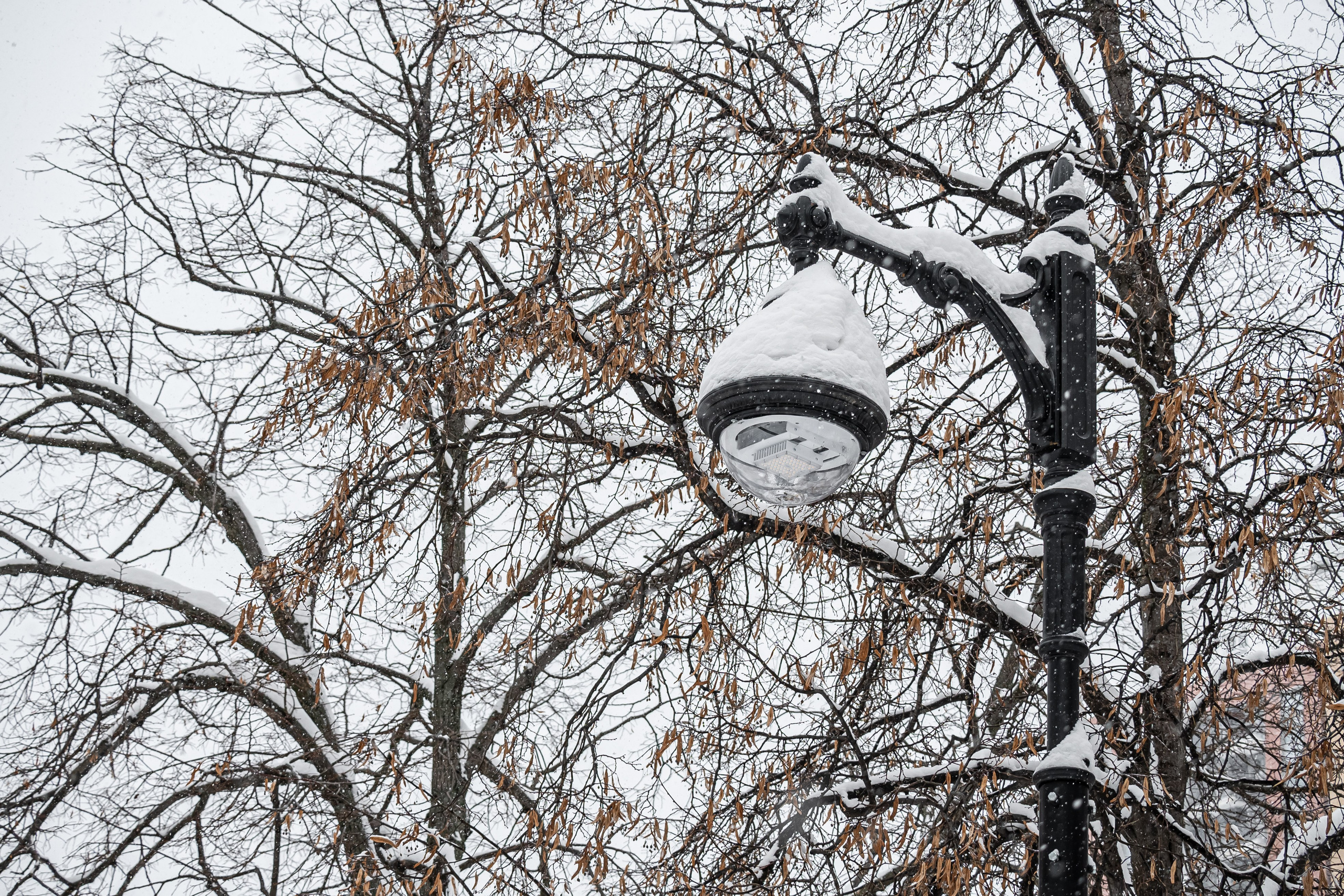 Снегопад. Репортажный фотограф