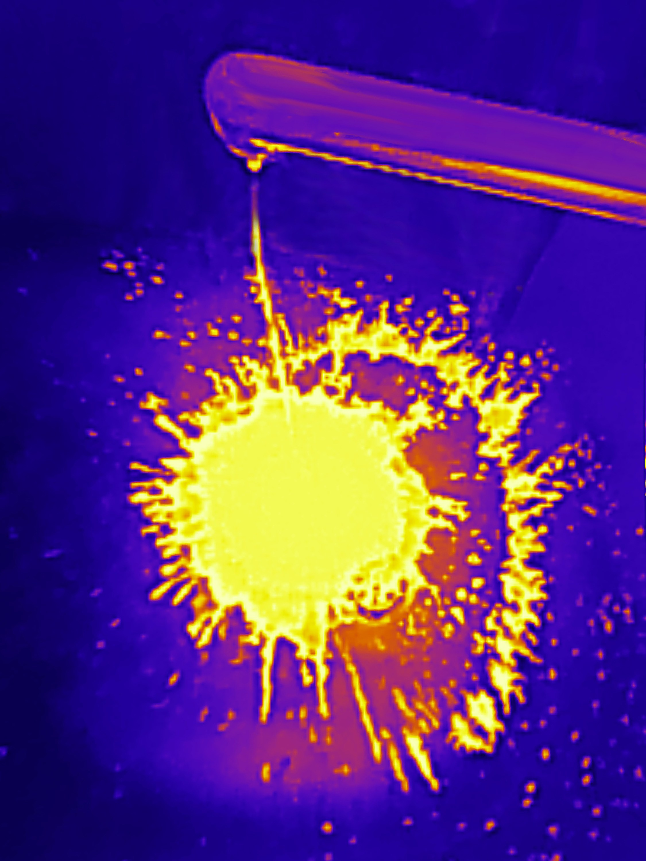 Если б я была удавом / If I were a boa constrictor. Visual artist Olga Burmistrova