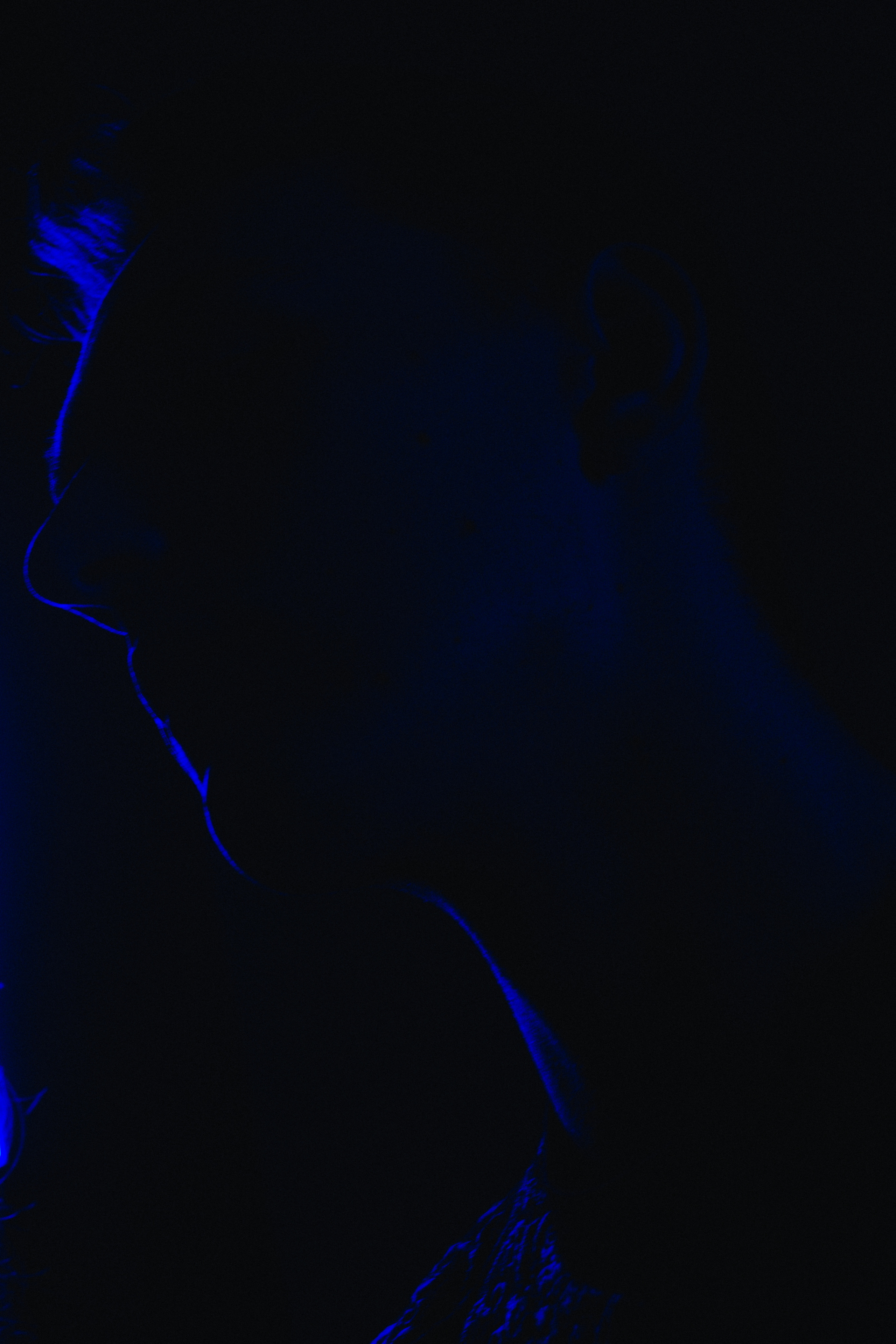 Sounds of love. Фотограф Александр Рауш