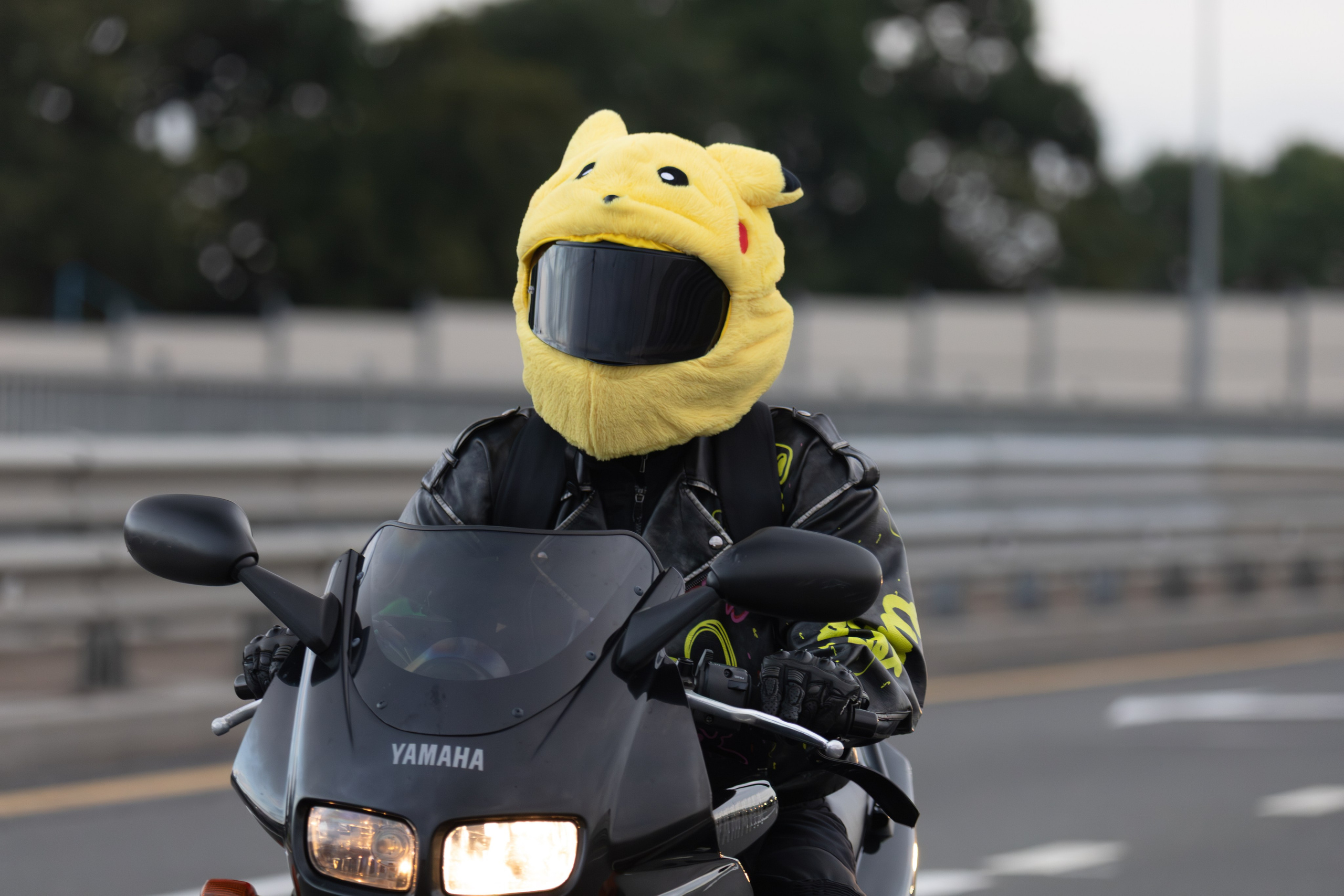 Закрытие Летнего сезона — 2025. — Digital Noise —