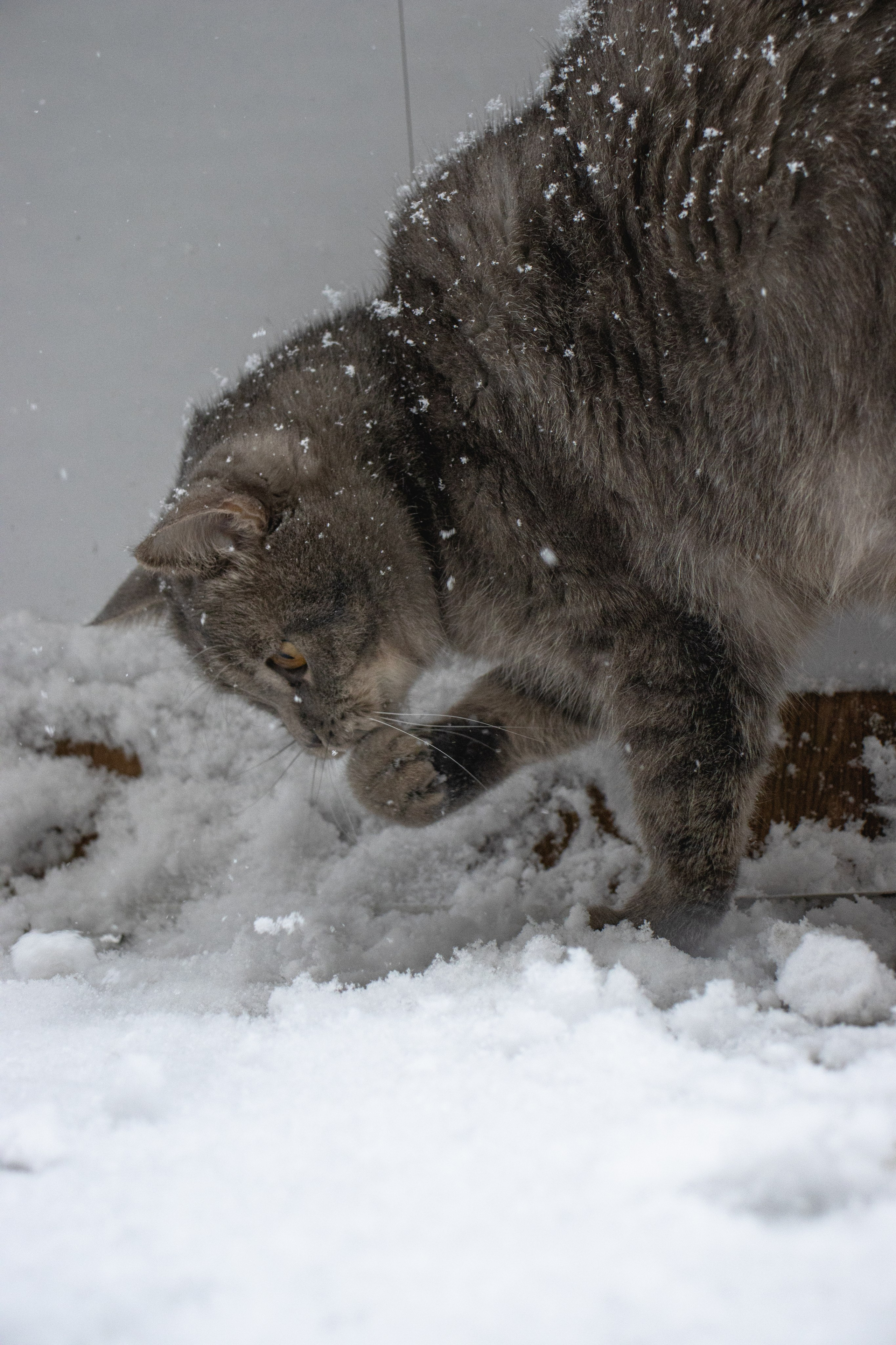 М А Р Т И Н. — Digital Noise —