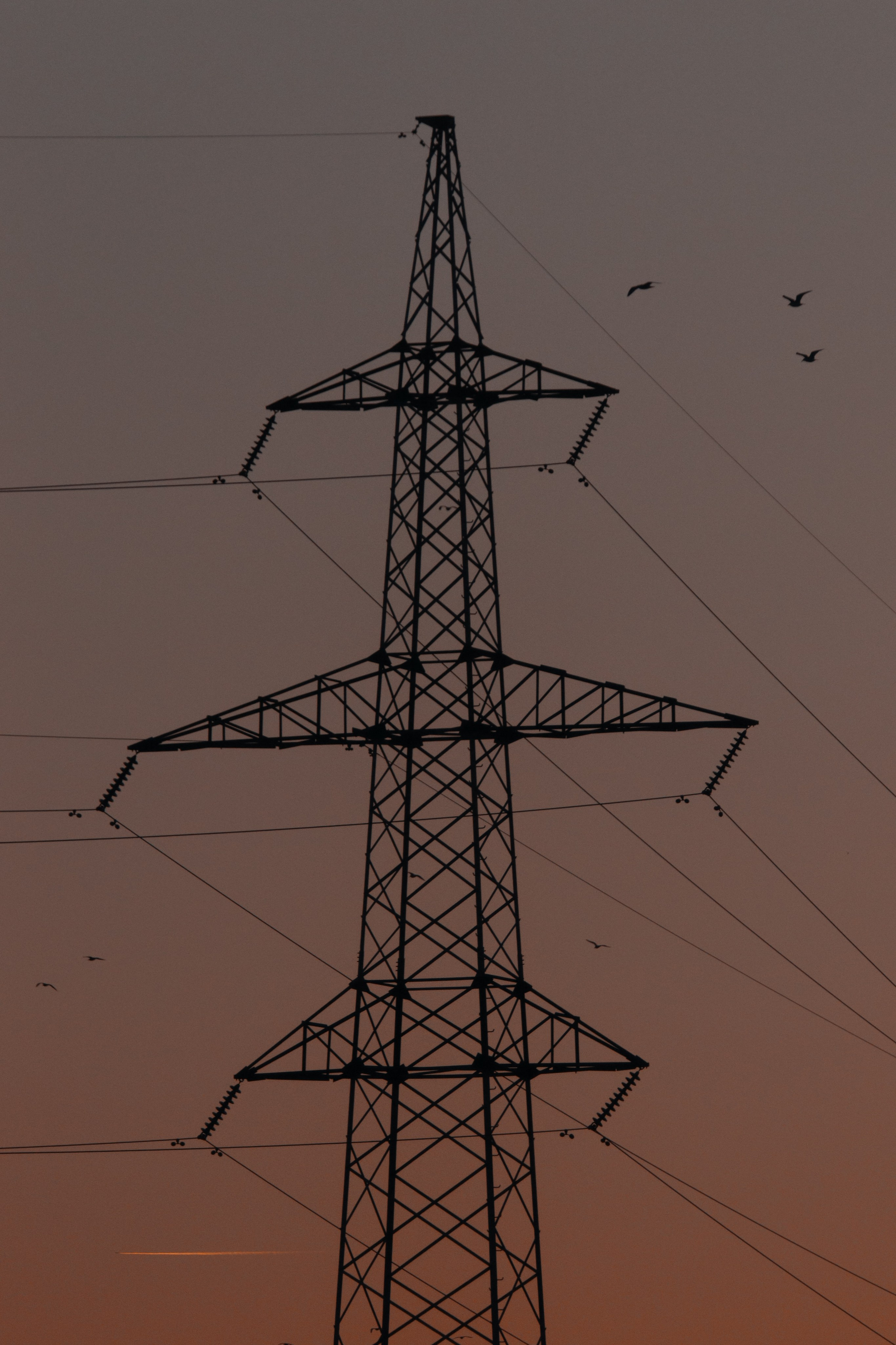 З А К А Т Ы