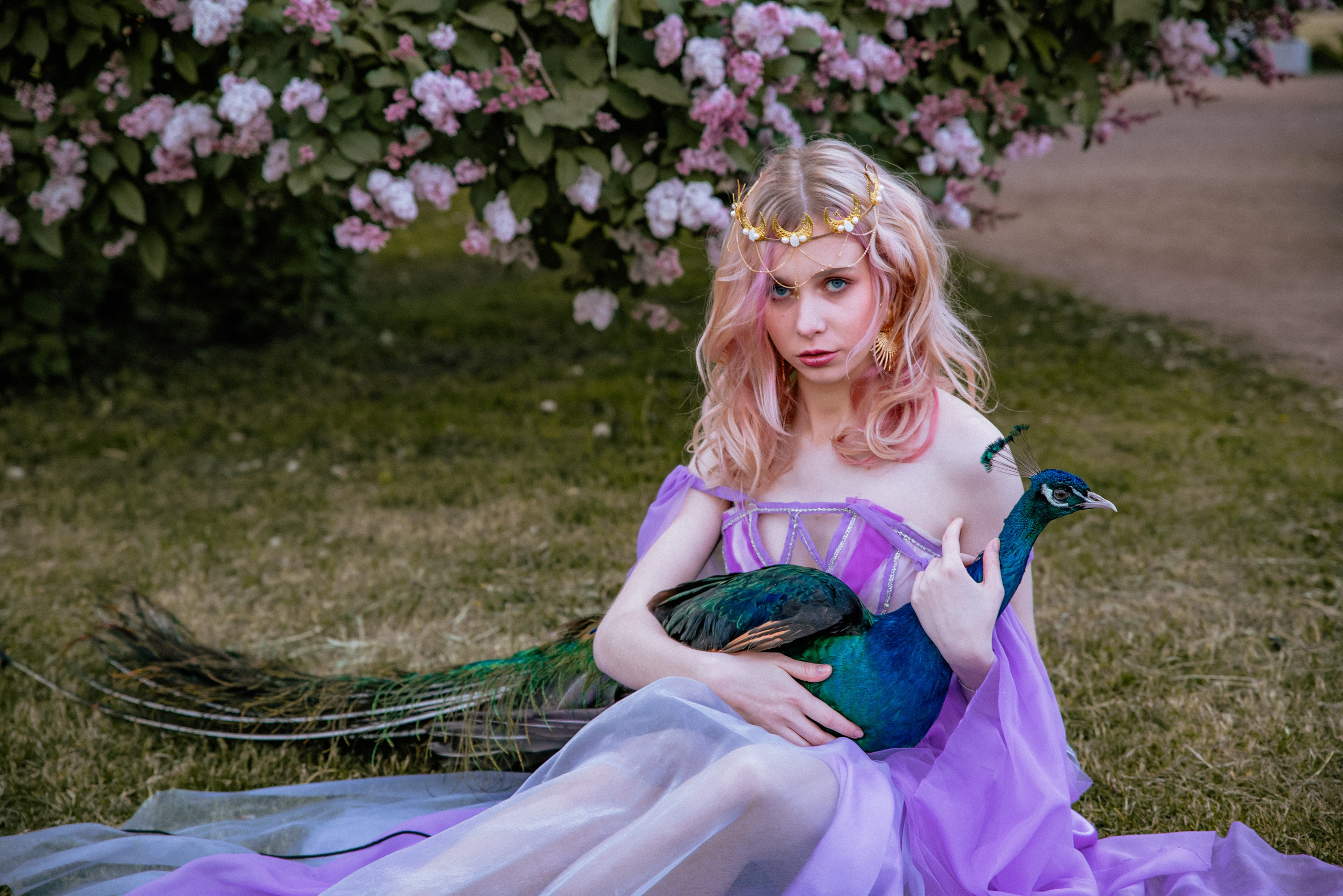 Павлин. Elena Sova — семейный и женский фотограф в Санкт-Петербурге