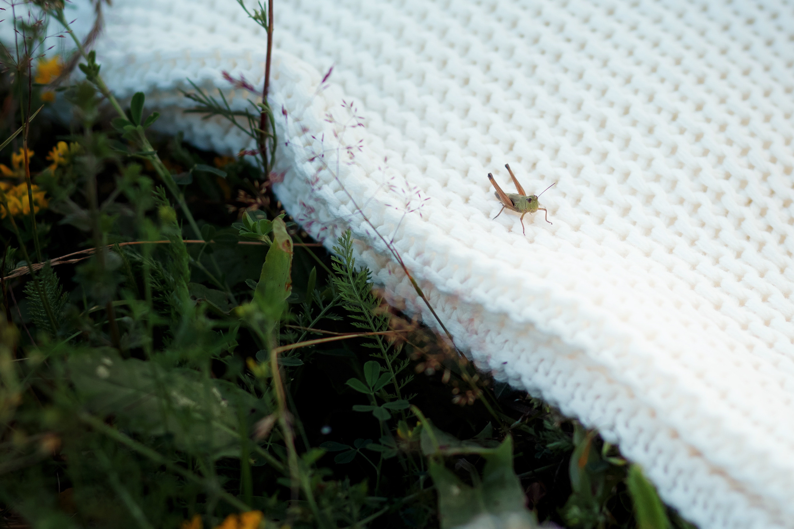 Юля и Тёма. Женский и семейный фотограф Елена Петрова