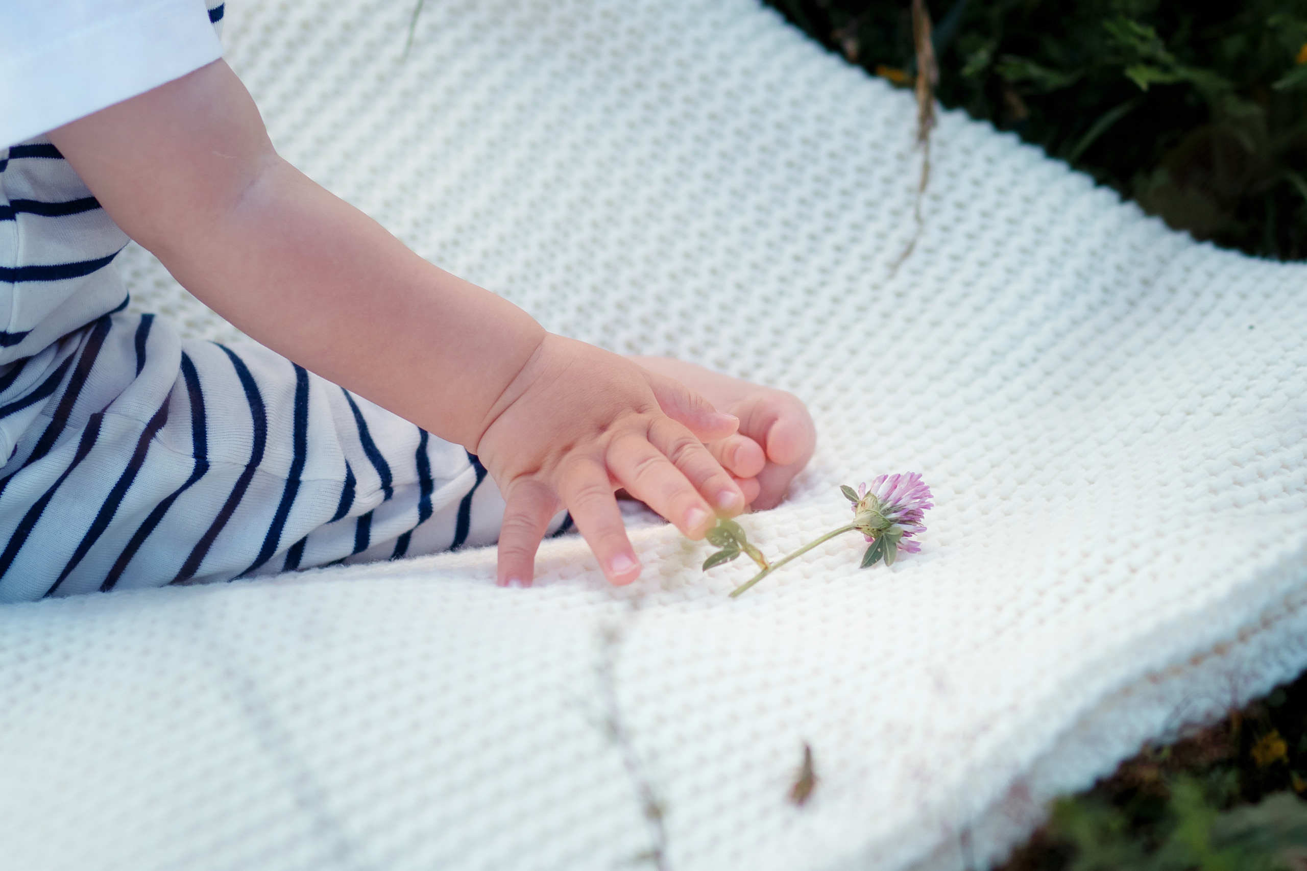 Юля и Тёма. Женский и семейный фотограф Елена Петрова