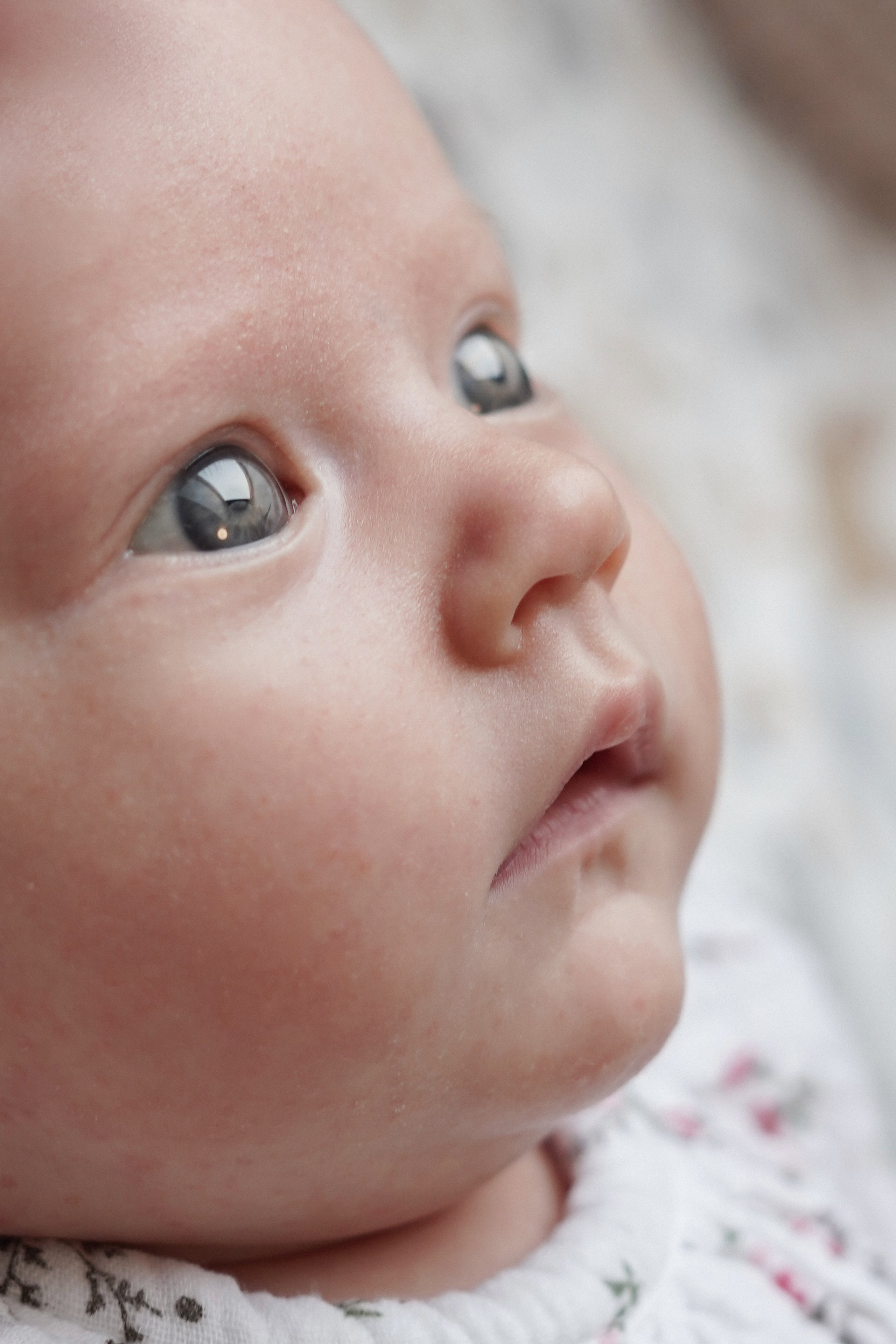 Алиса. Свадебный и портретный фотограф в Санкт-Петербурге Софья Каркачева