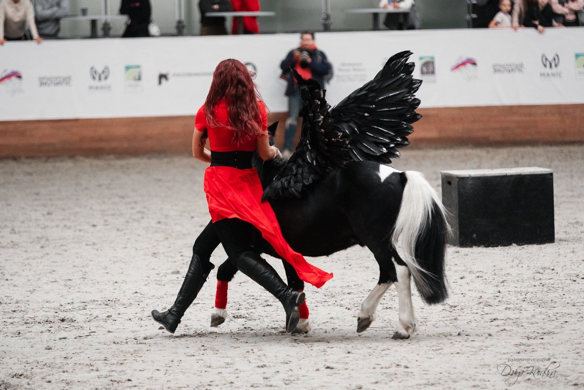 8-я международная выставка Конная Россия. Конный фотограф Куракина Дарья • Фотосессии с лошадьми