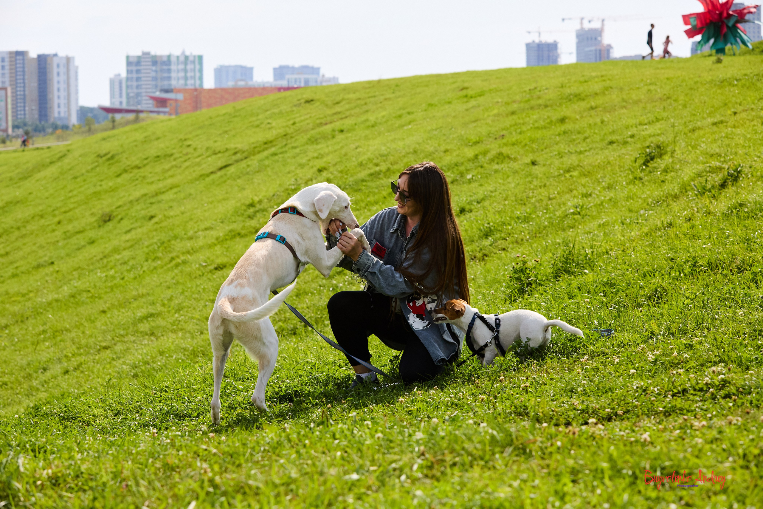 Проект фотопрогулка с хвостиком. Buyvolenko Andrey