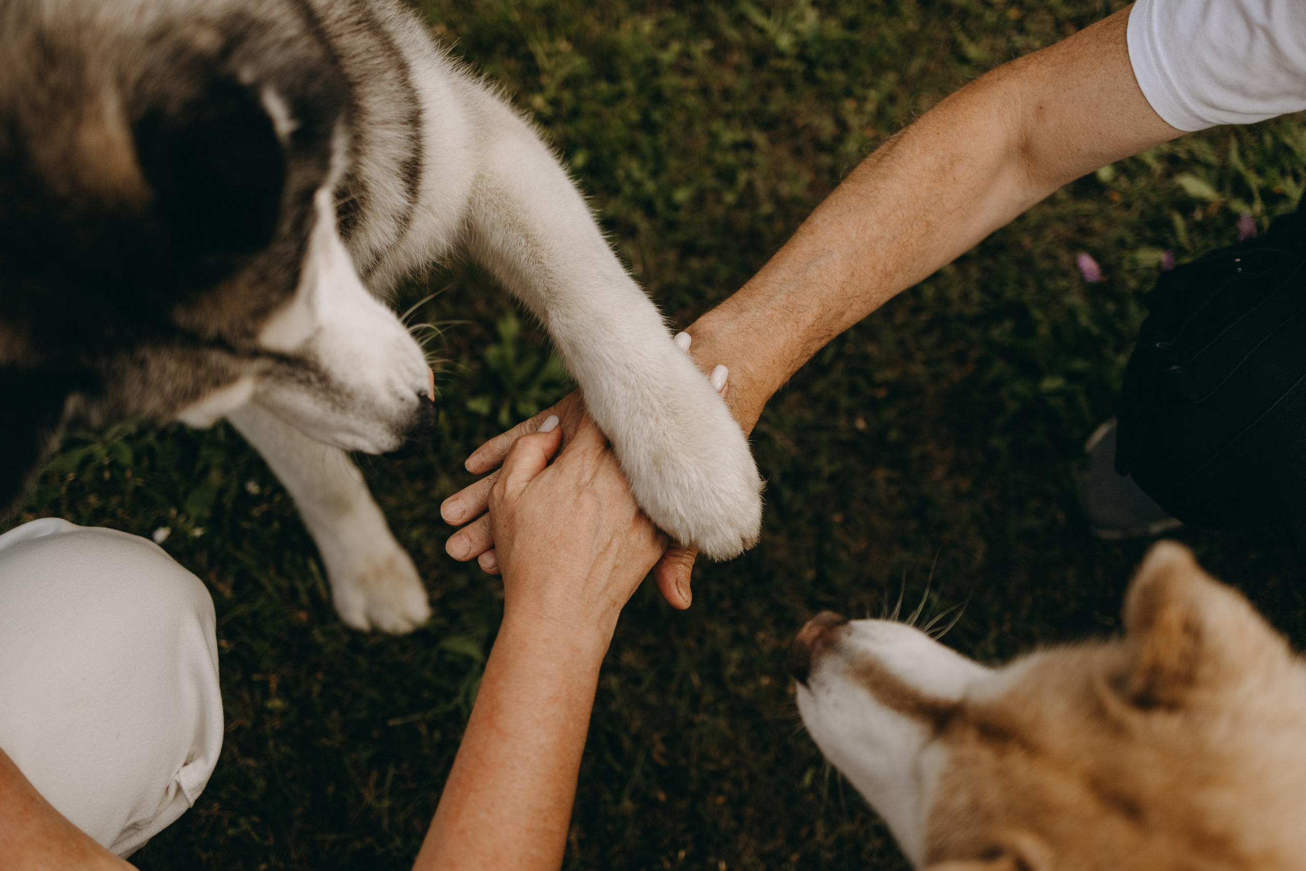 Дом у реки. Фотограф — Анималист | Санкт-Петербург