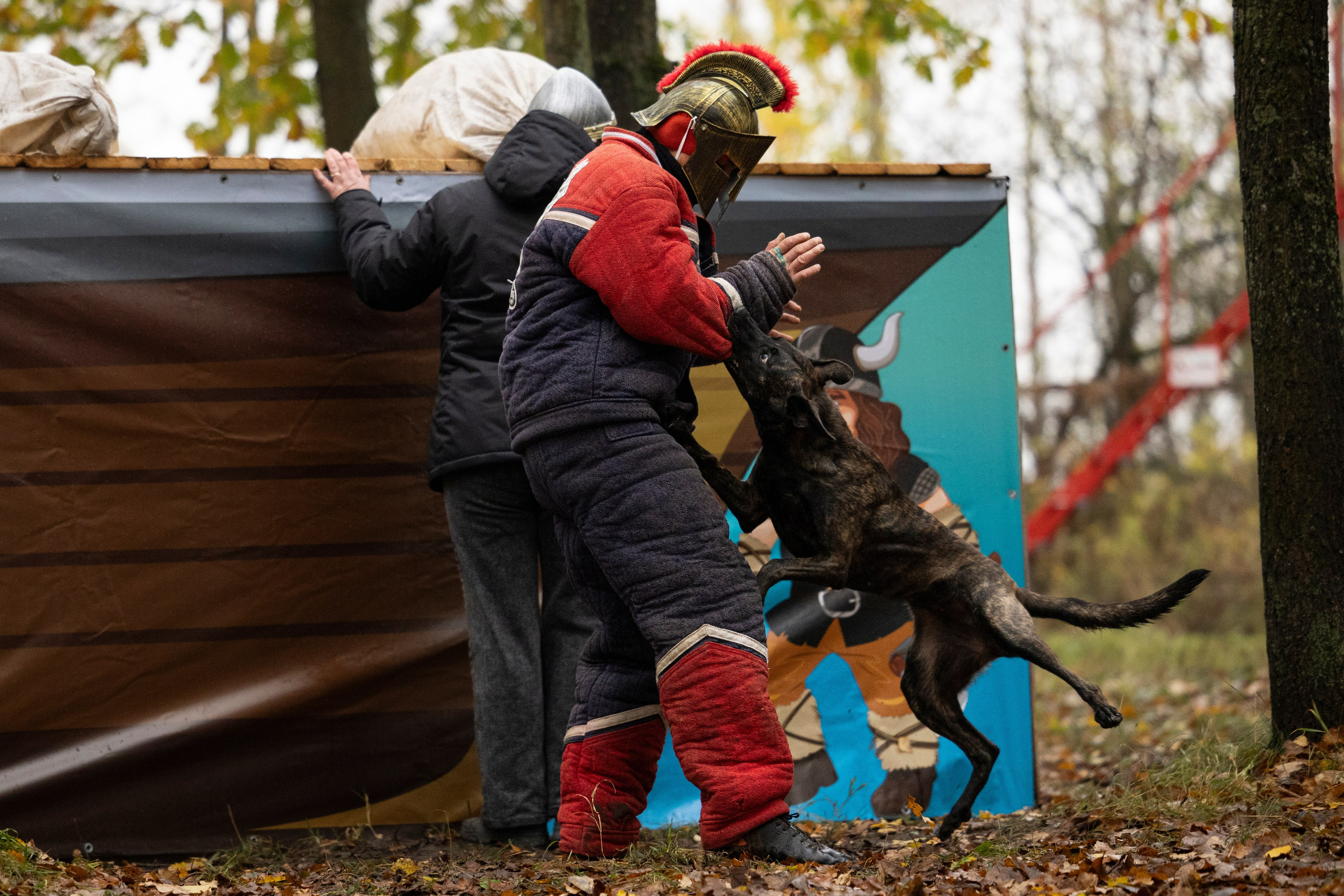 Соревнования по Мондьорингу г. Вологда. Фотограф-анималист Анна Маринич