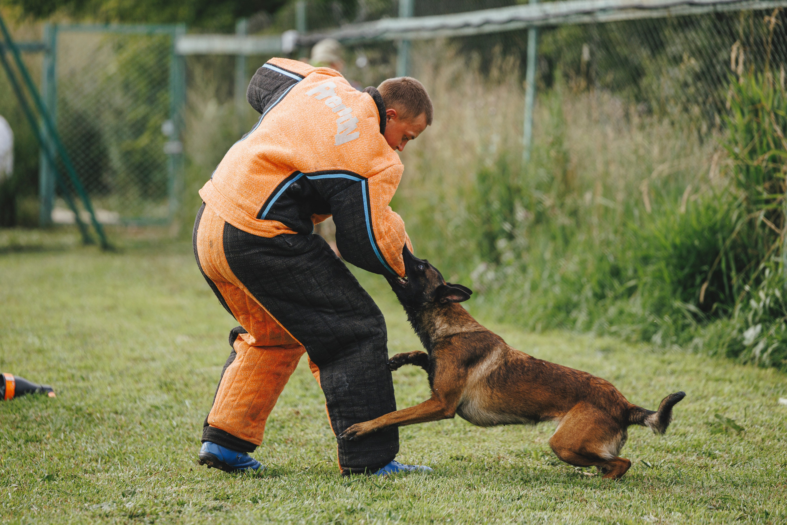 08.08.25-10.08.25 ЧР по мондьорингу г. Вологда. Фотограф-анималист Анна Маринич