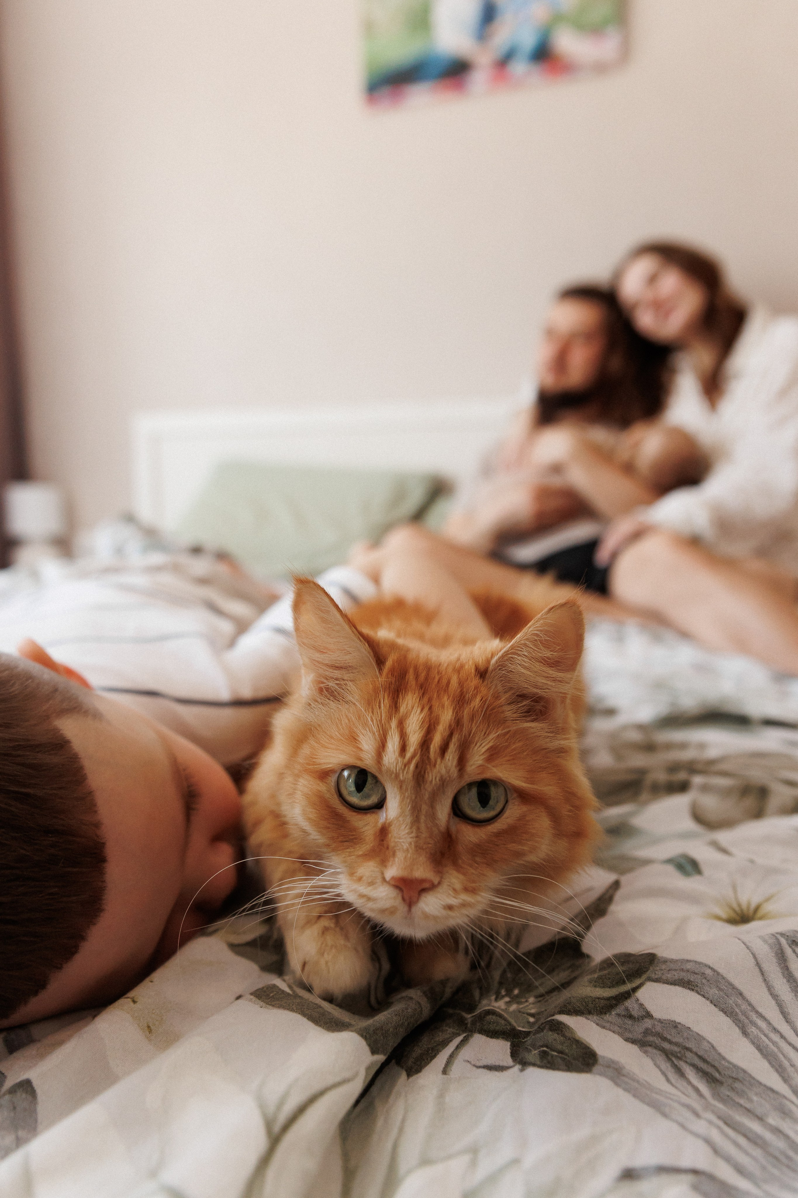 Дружная семья. Семейный фотограф Тюмень Ксения Дереглазова