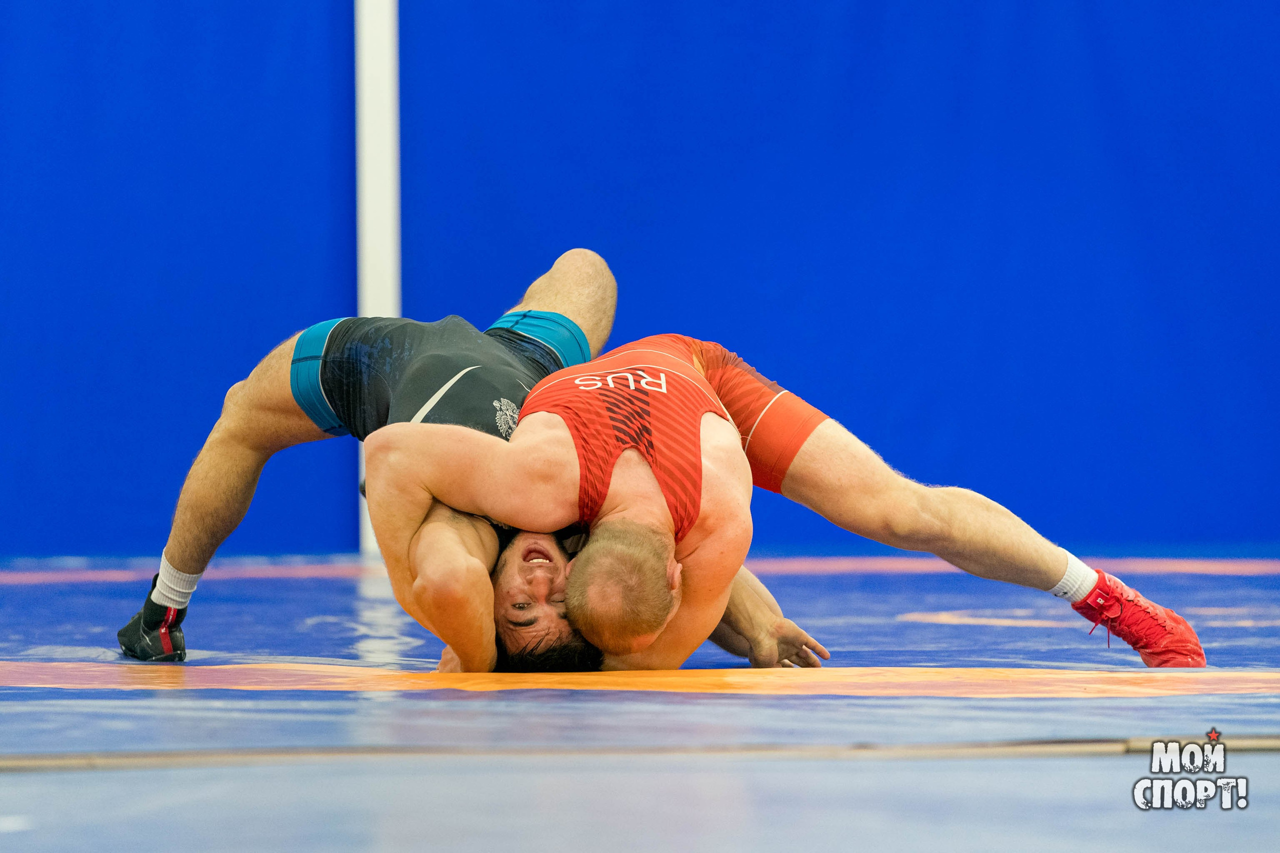 Чемпионат России среди студентов по спортивной борьбе 2024. ГРБ. Студия «Мой Спорт!» — все о спорте в Якутии