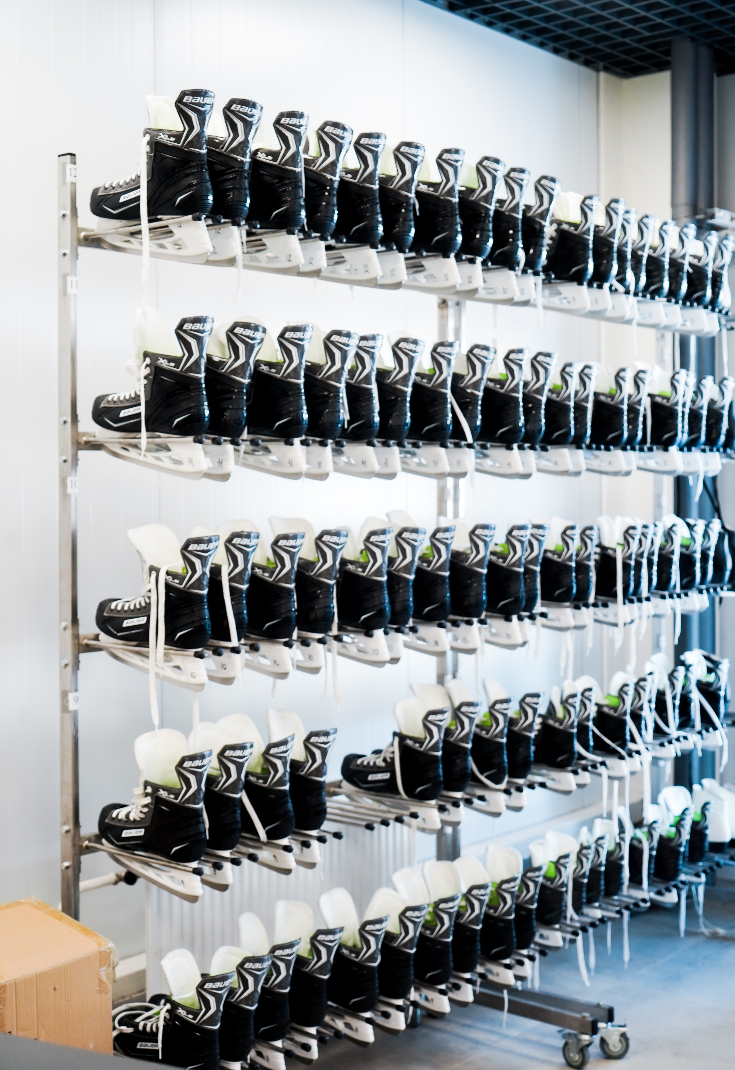 ЛЕДОВАЯ АРЕНА г. Всеволожск. Светлана Гопанюк. Портретный фотограф. Санкт-Петербург. СПб