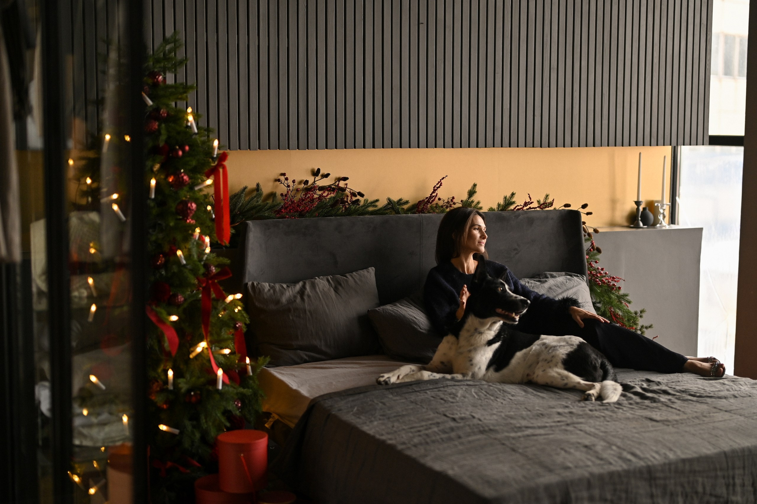 Новогодняя фотосессия с собакой в студии Мимика, зал Наоми. Марианна и Куруш. Semerlina.ru