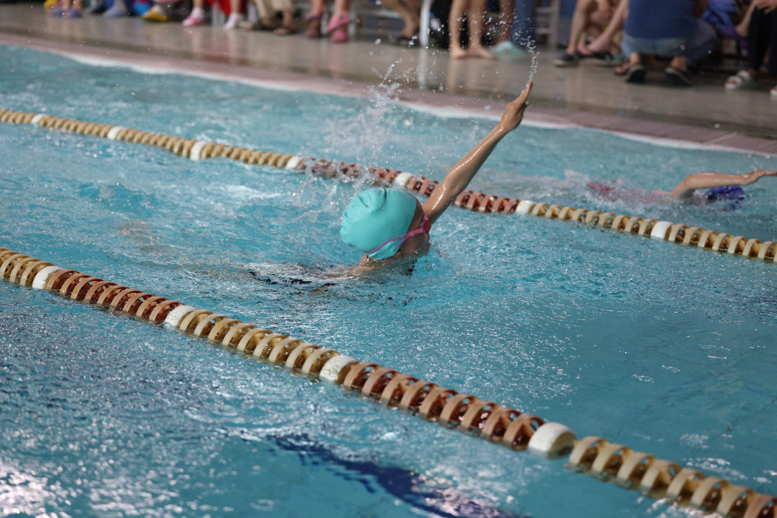 Веселый дельфин. Плавание. Дети 8-9 лет. Фотограф Александр Заломаев