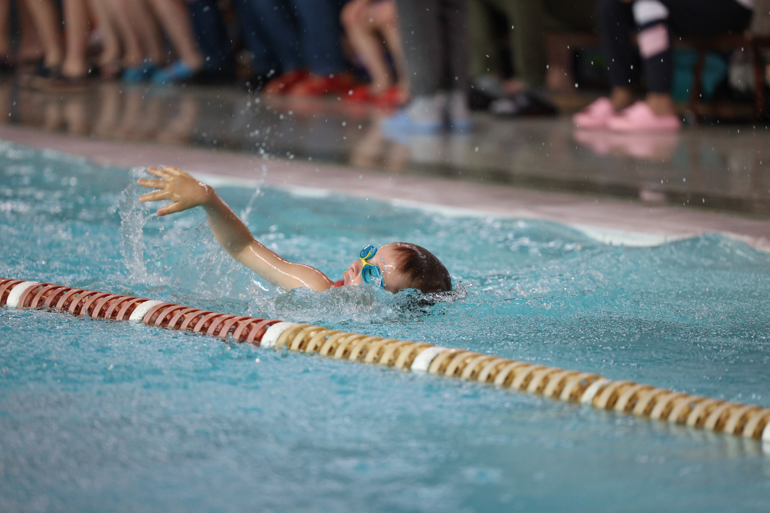 Веселый дельфин. Плавание. Дети 8-9 лет. Фотограф Александр Заломаев