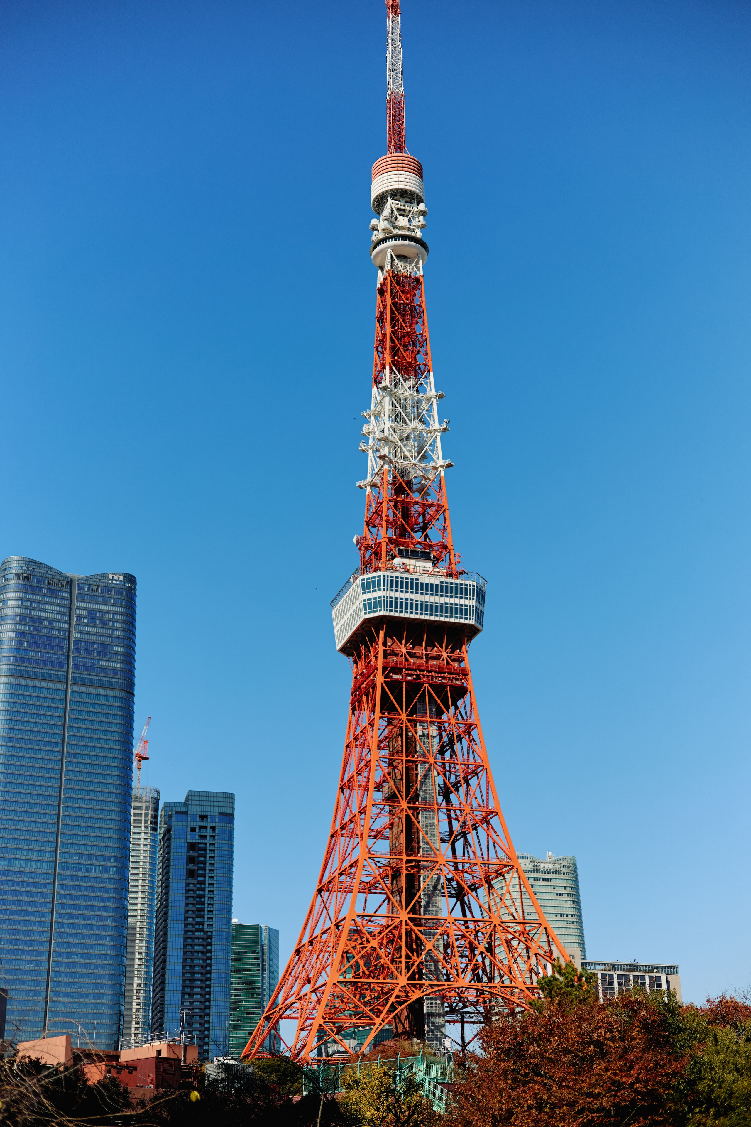 Япония. Профессиональный Фотограф во Владимире, в Москве и в Суздале — Полина Романычева
