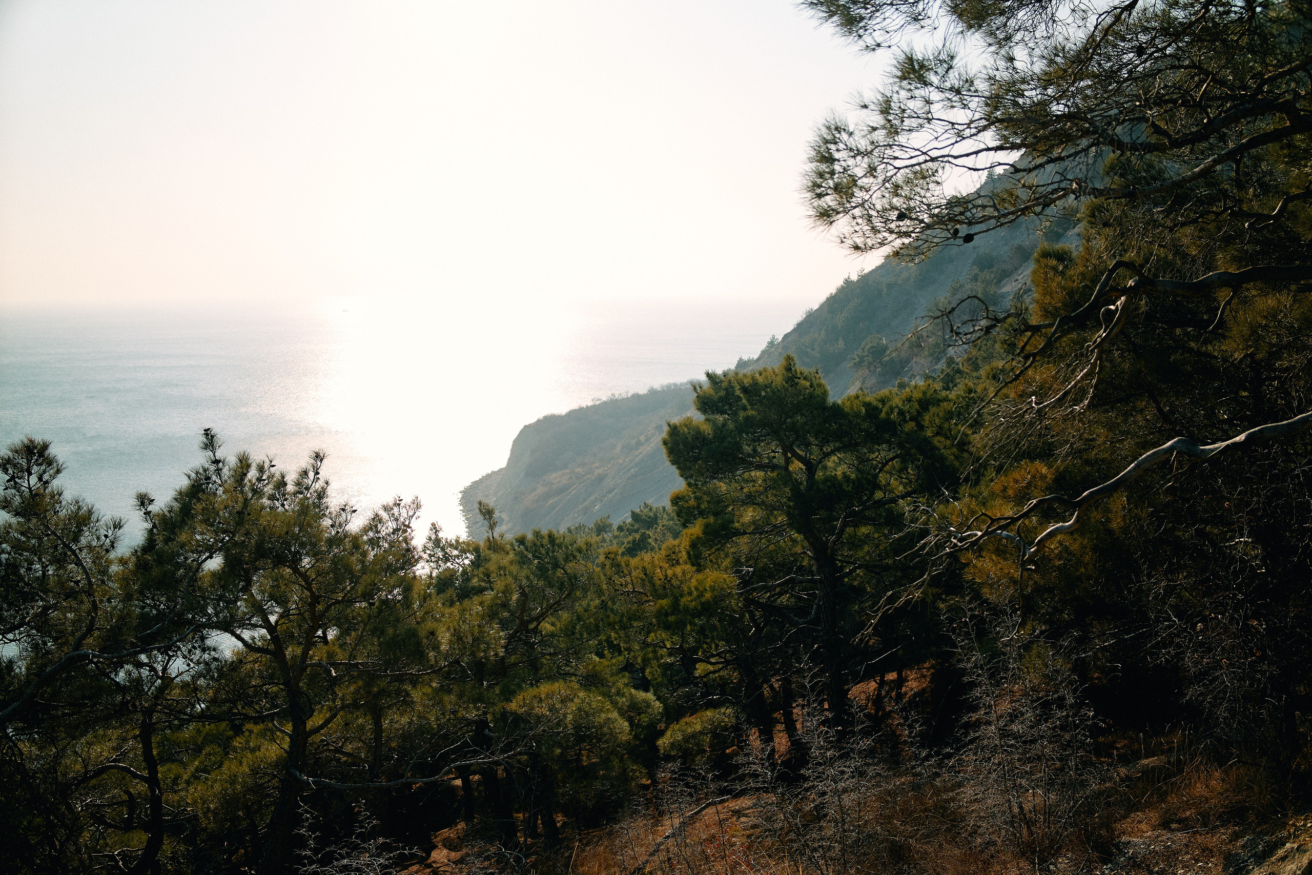 Юг России. Профессиональный Фотограф во Владимире, в Москве и в Суздале — Полина Романычева