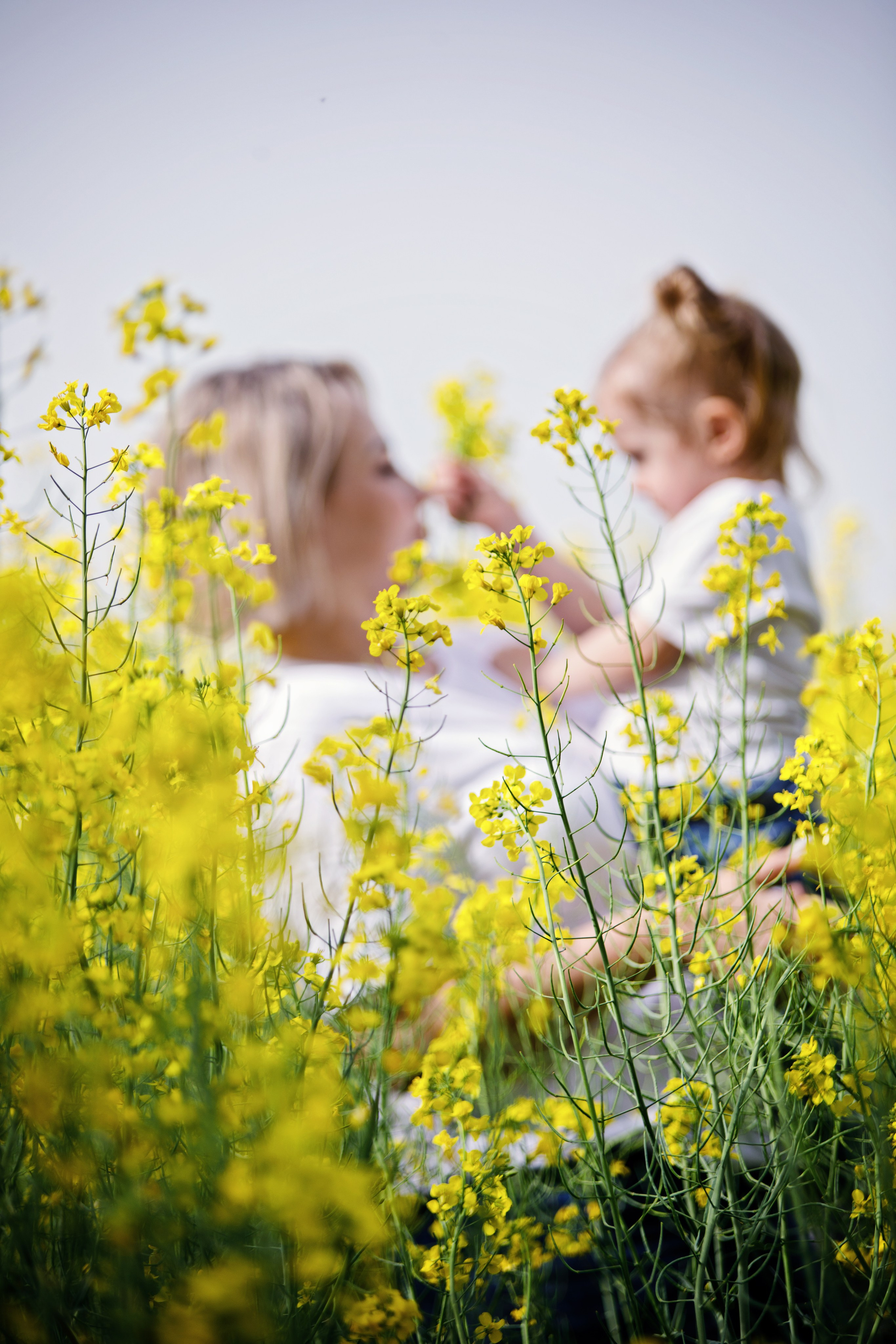 Семейные. Ваш домашний Видеограф