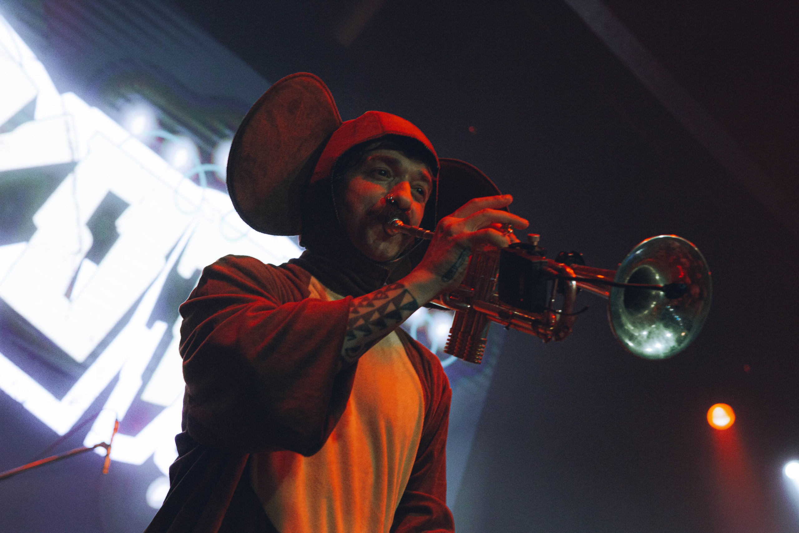 СКОТЫ 20.12.2025. Репортажный и портретный фотограф Михаил Мартиросян