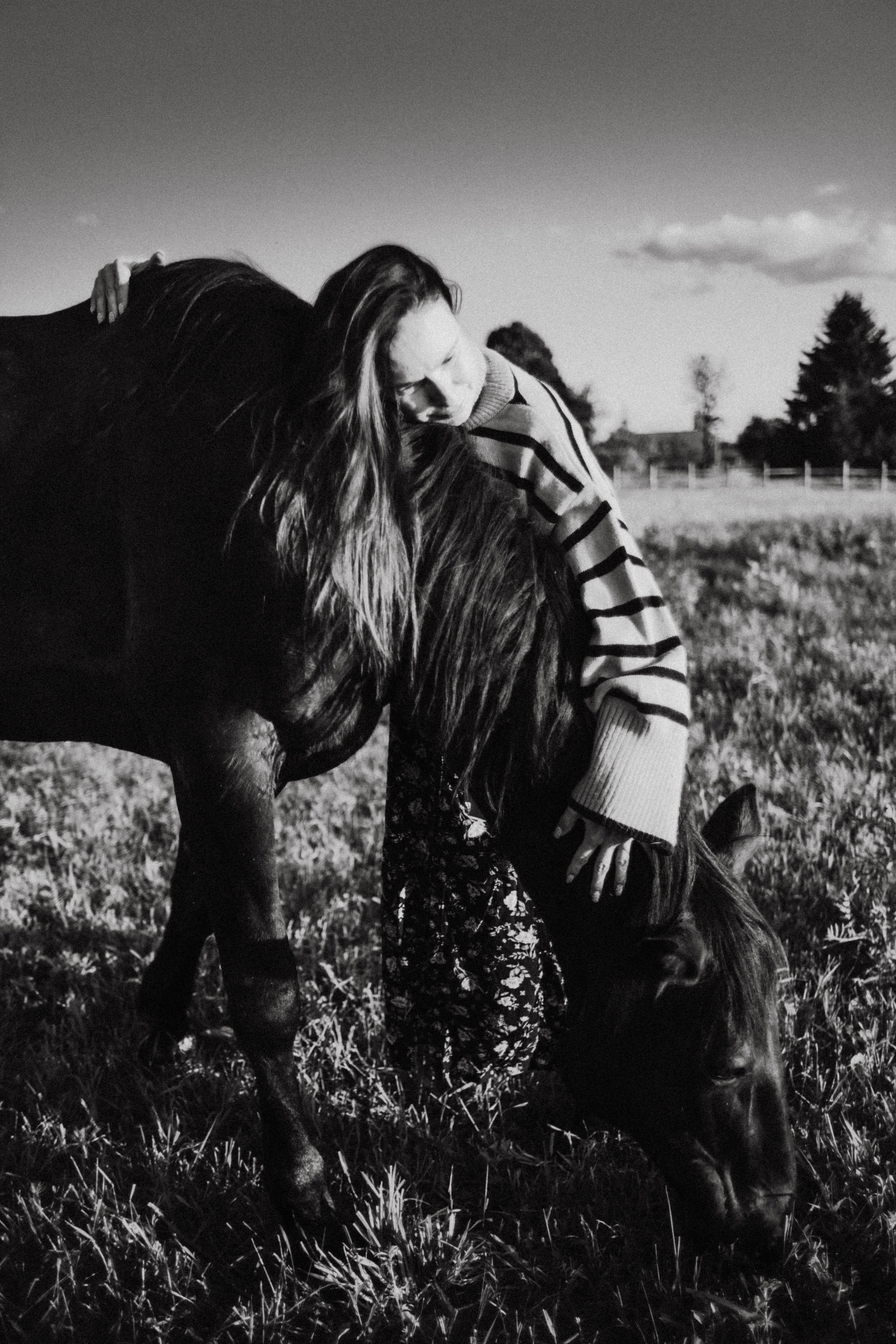 Варвара. Лошади. Закат. Фотограф в Нижнем Новгороде