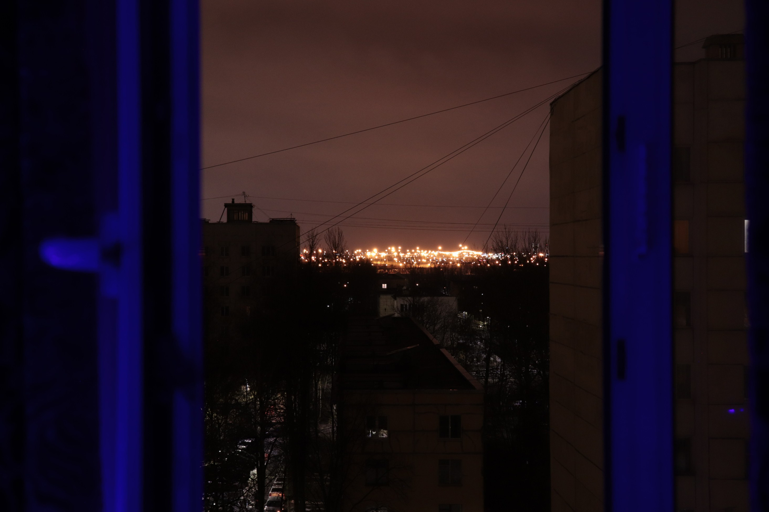 Из наблюдений. Плак или Квак