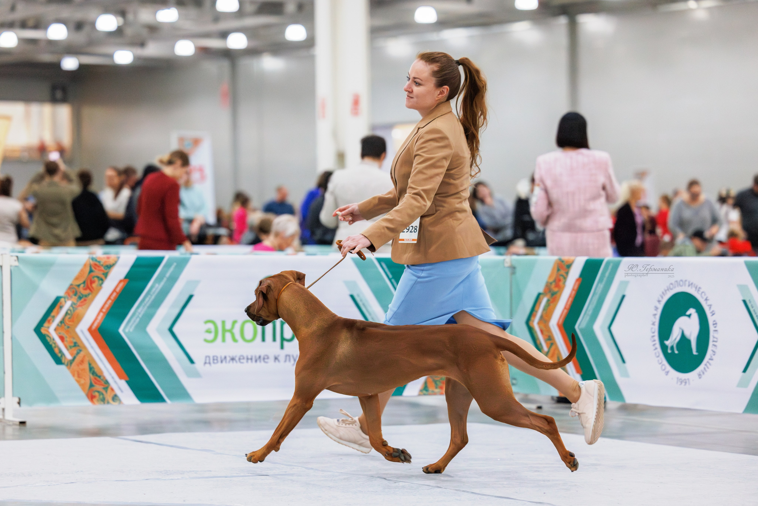 Евразия 15-16.11.2025. Фотограф-анималист Юлия Германика