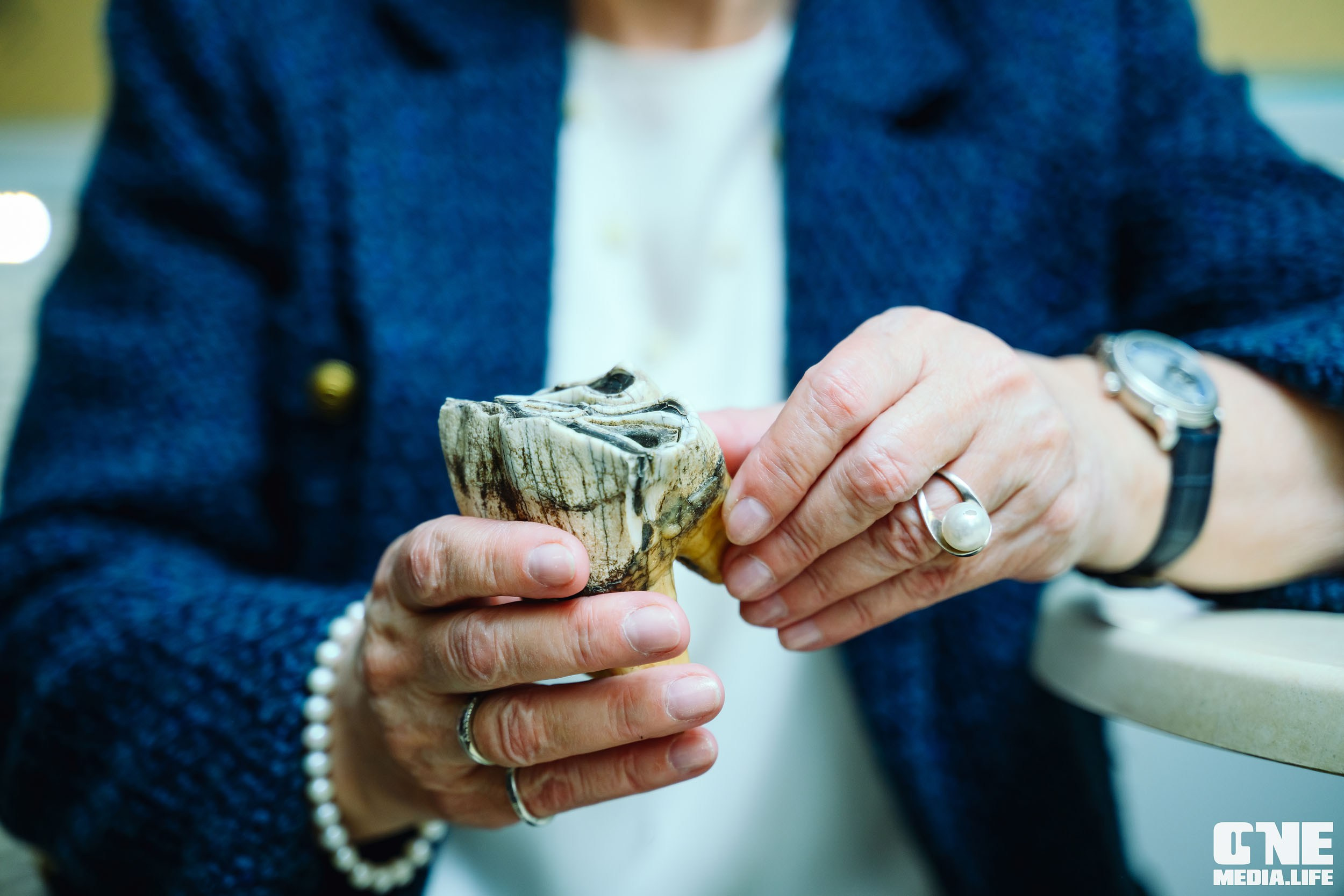 Балтийский Культурный Форум 2024. One Media Life: фоторепортажи, фотоотчеты с мероприятий и заведений